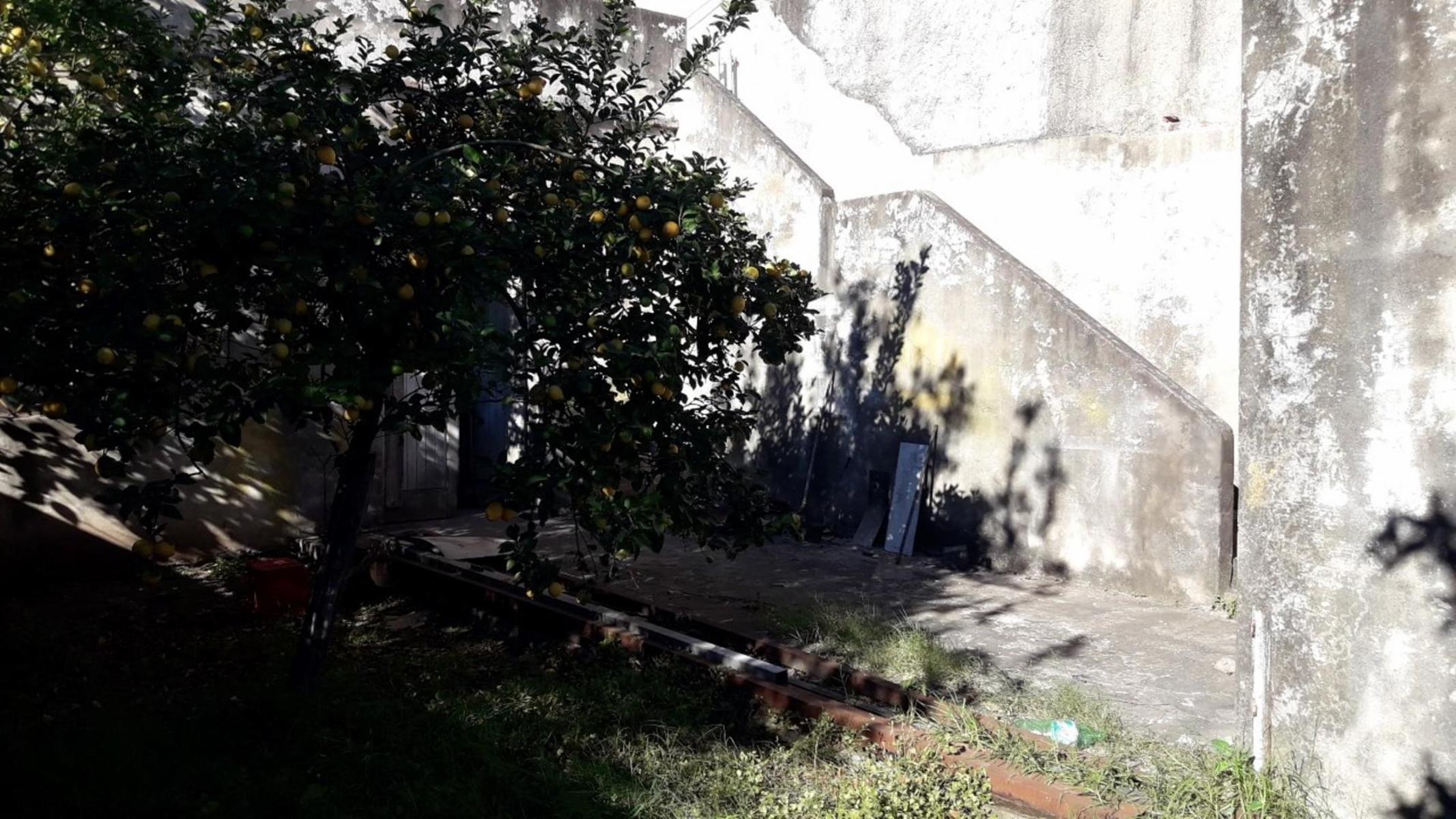 Vicente Lopez Y Planes 5500 · San Martín — foto 4