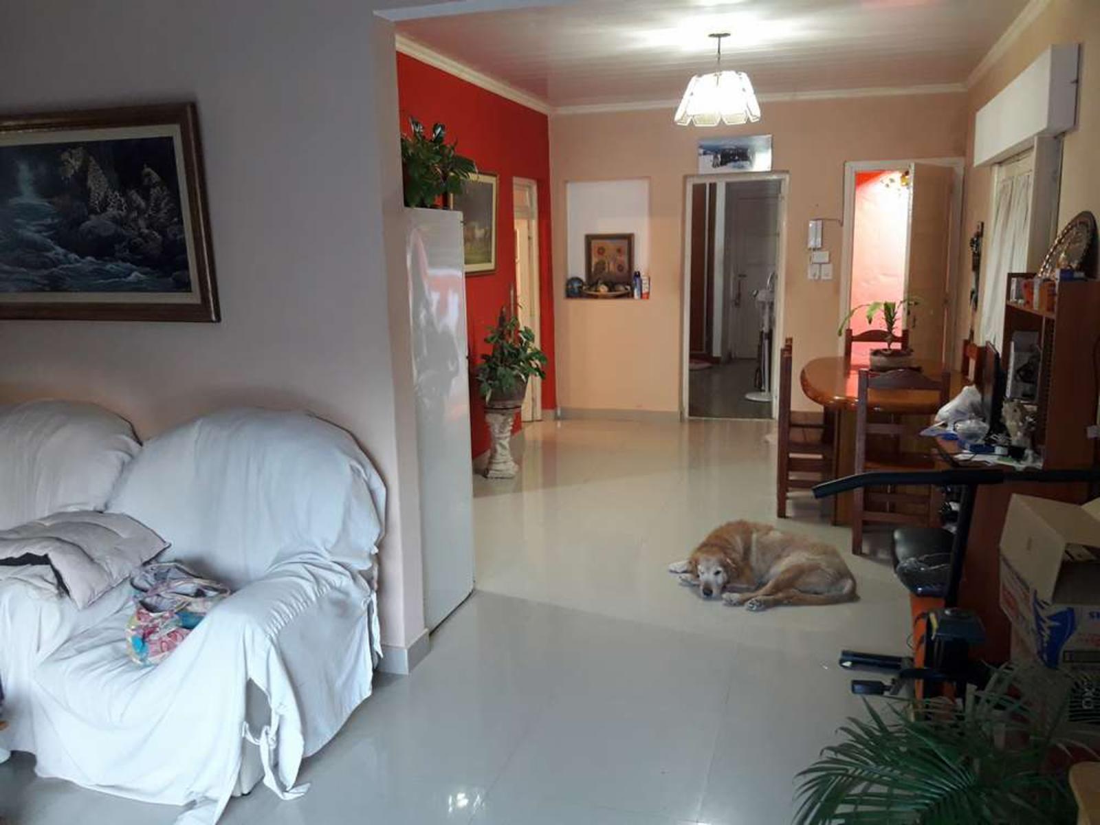 San martin 671 · San Andrés De Giles — foto 48