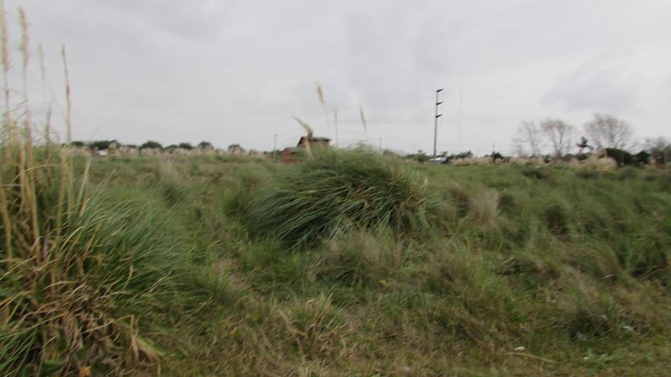 Lote de terreno en Las Toninas