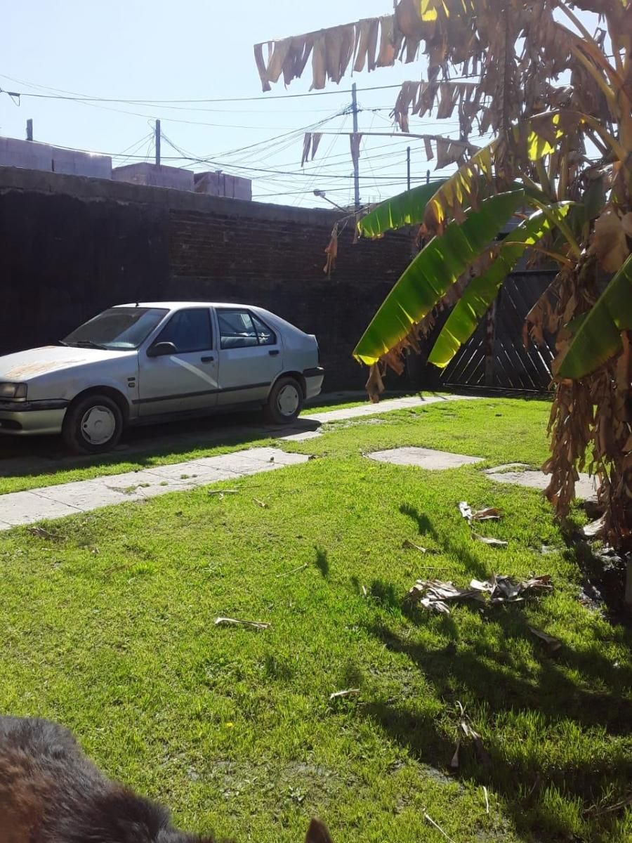 Triunvirato 700 · Tigre — foto 3