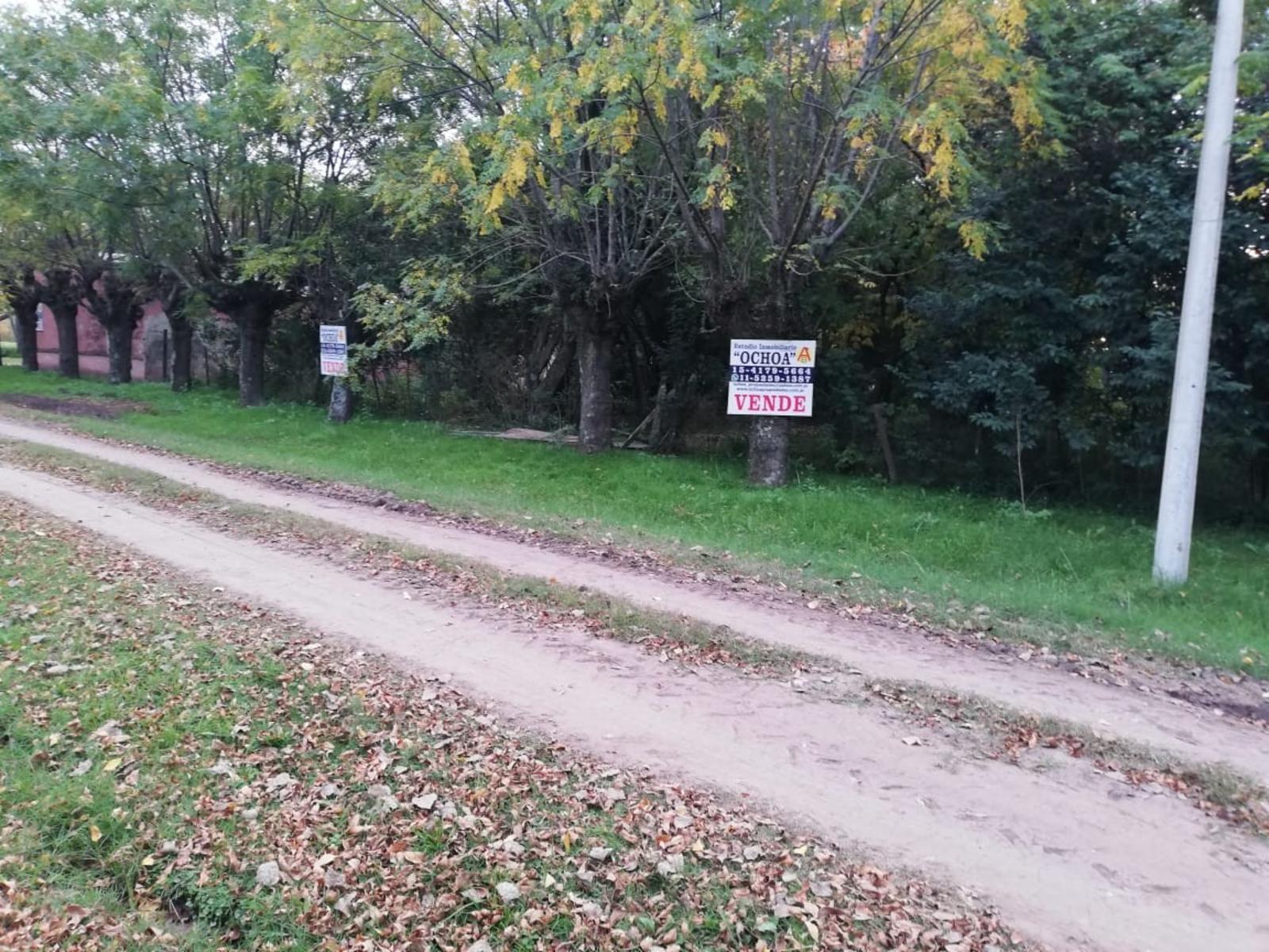 Calle Yrigoyen · San Antonio De Areco — foto 3