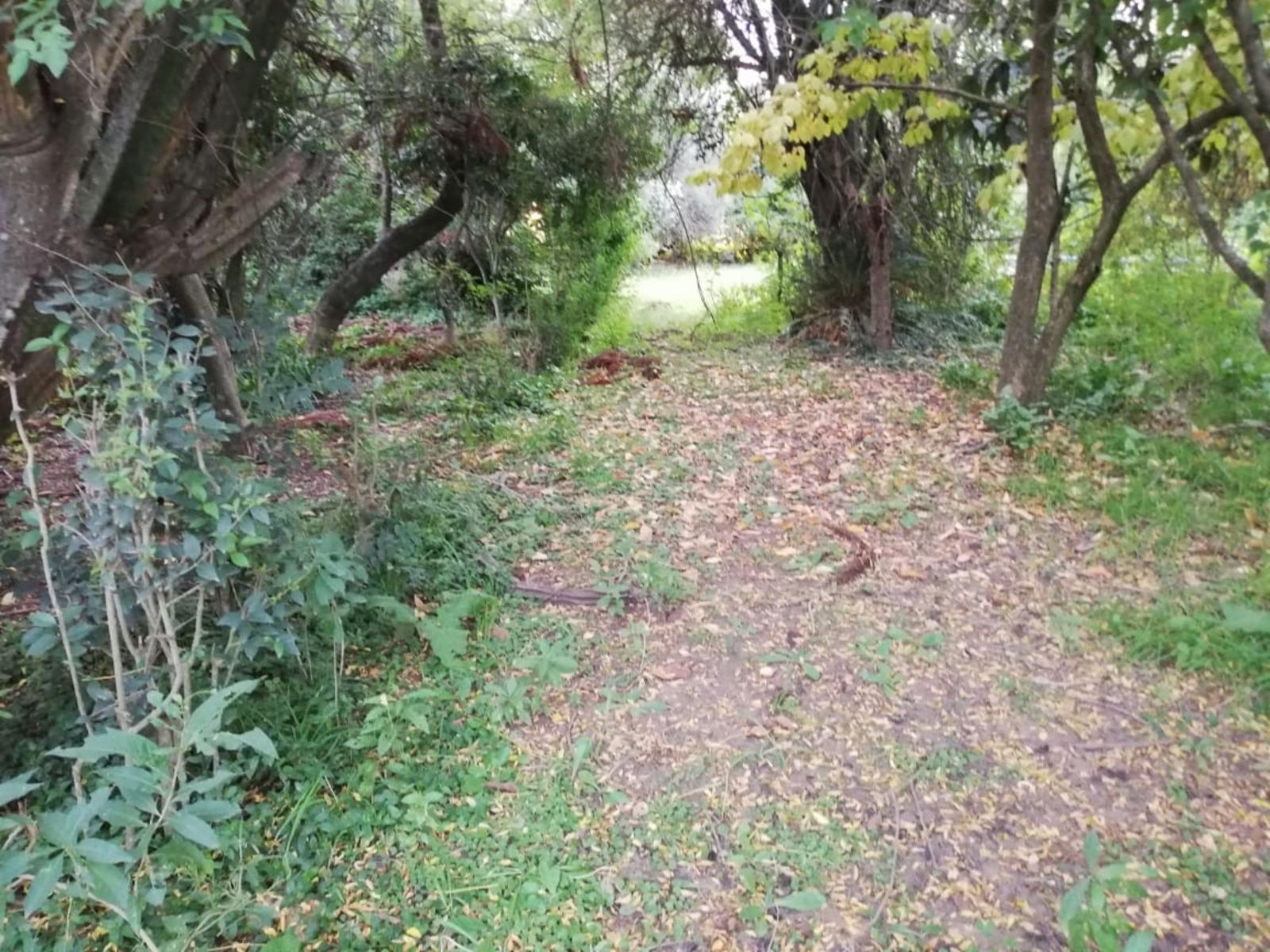 Calle Yrigoyen · San Antonio De Areco — foto 4