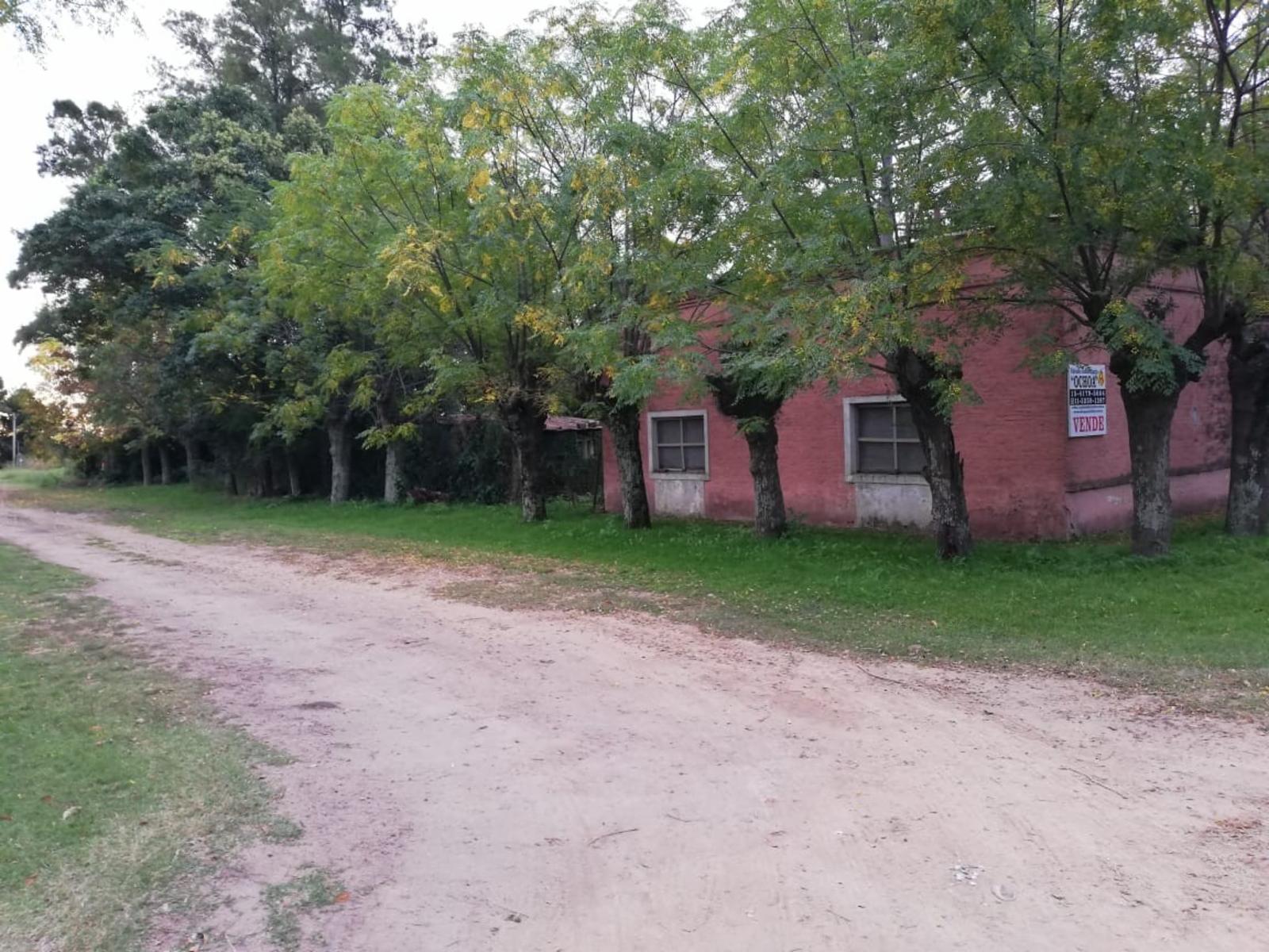 Calle Yrigoyen · San Antonio De Areco — foto 5