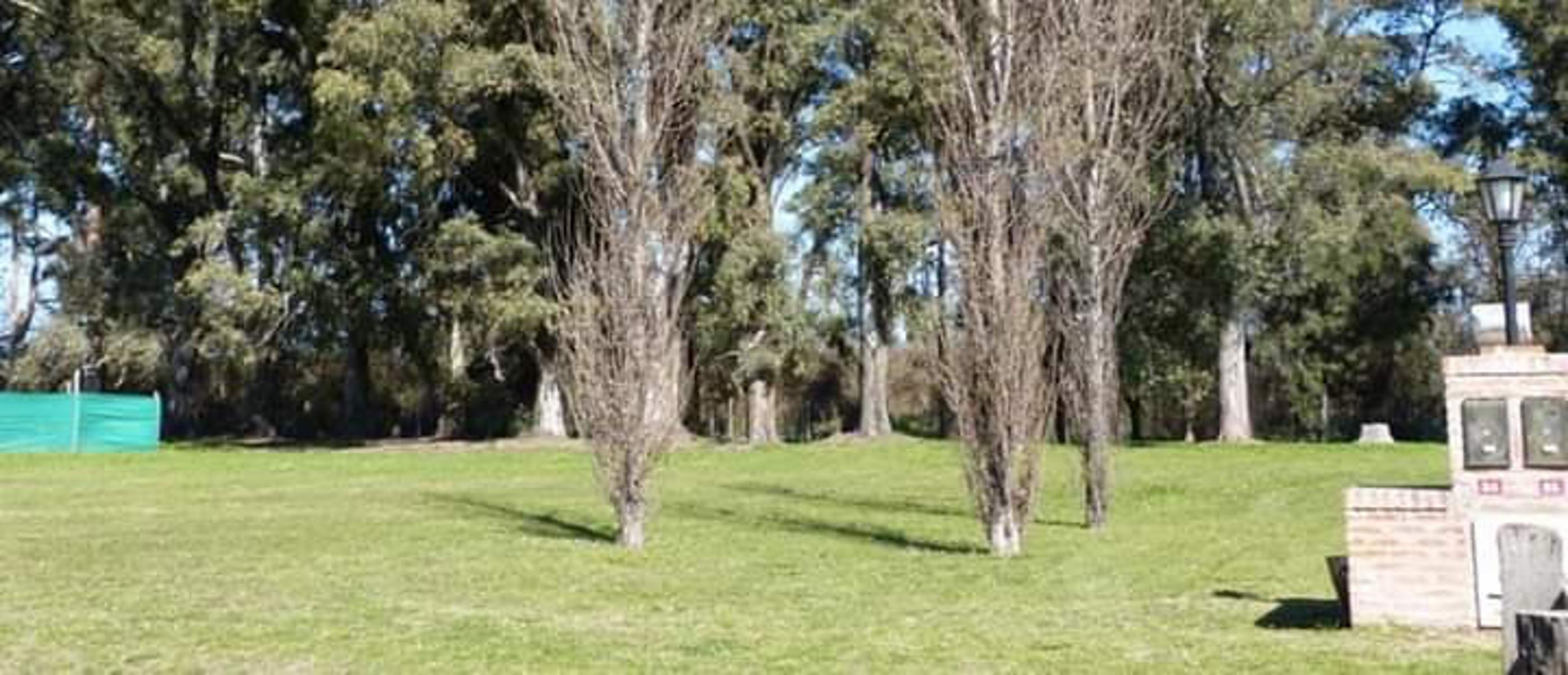 RUTA 6 KM 155 · Luján — foto 4