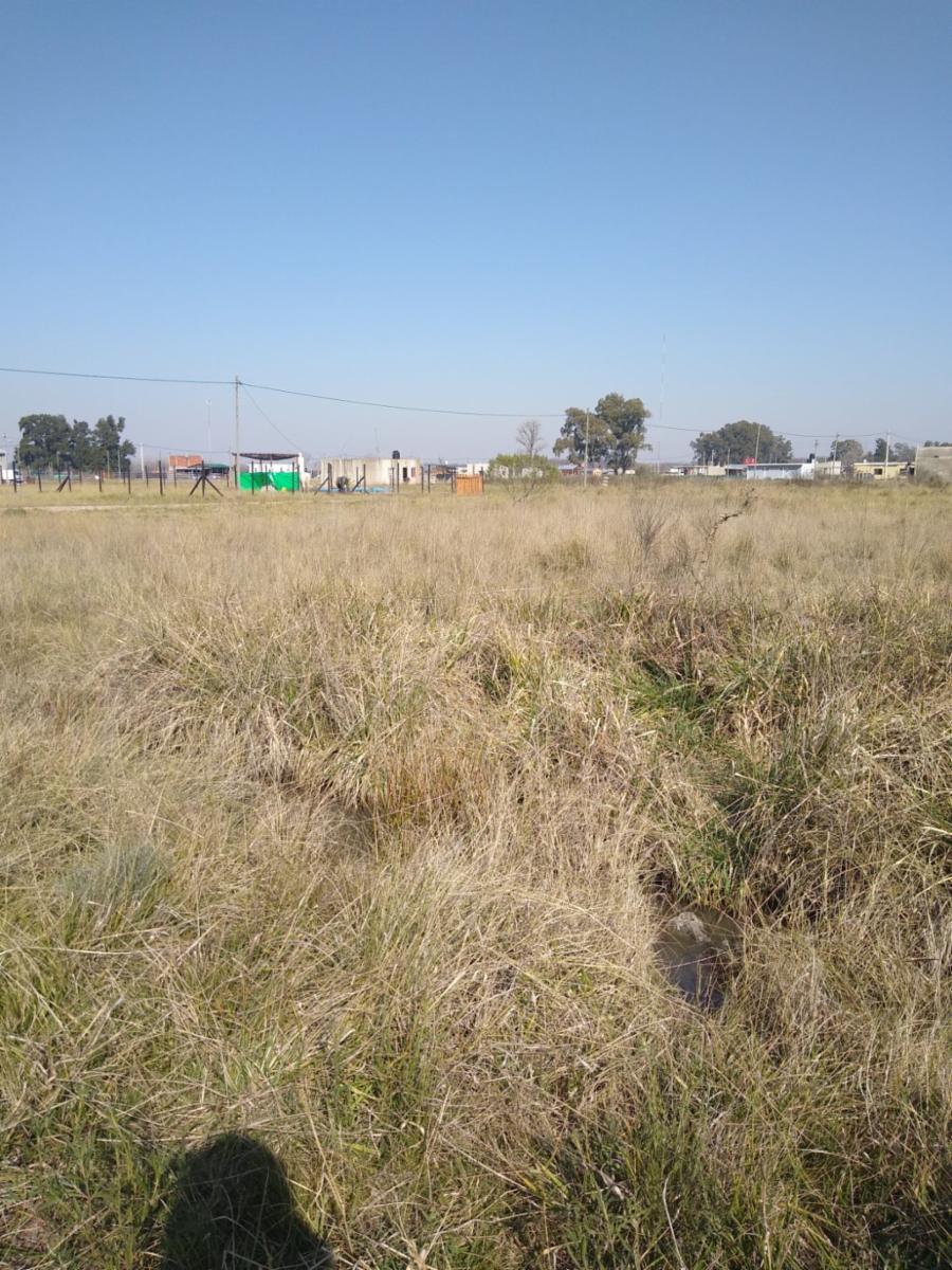 619 y Verdi · San Vicente — foto 3