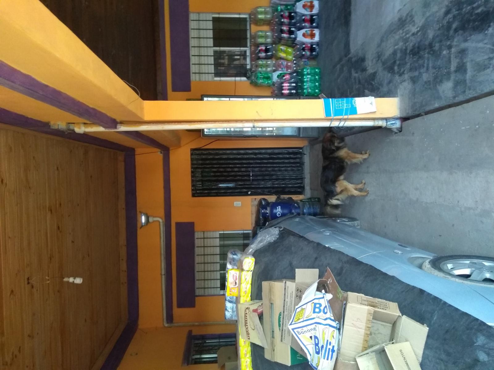 SAN VICENTE 570 · Escobar — foto 4
