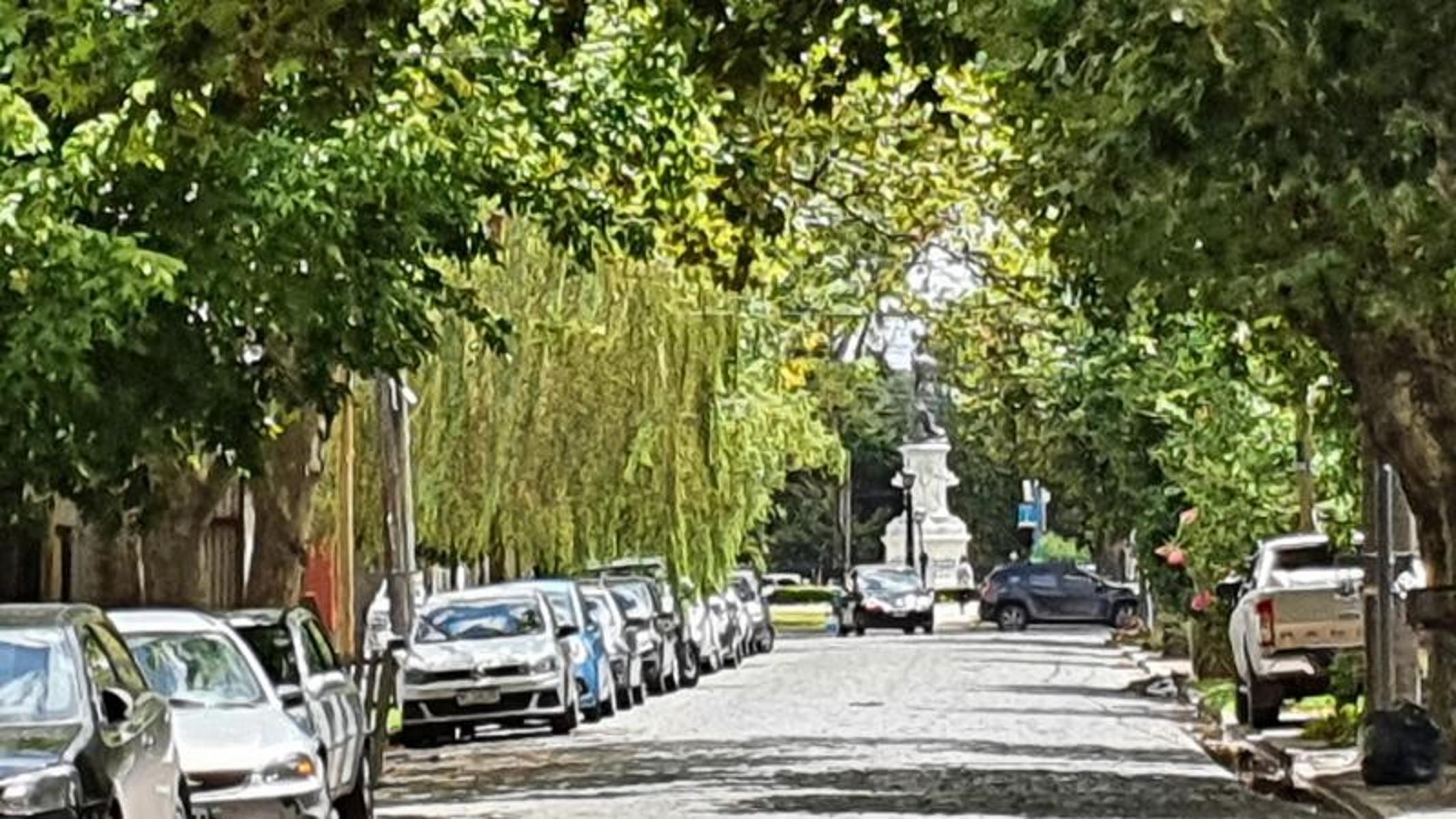 Drumond 1041 · Almirante Brown — foto 3