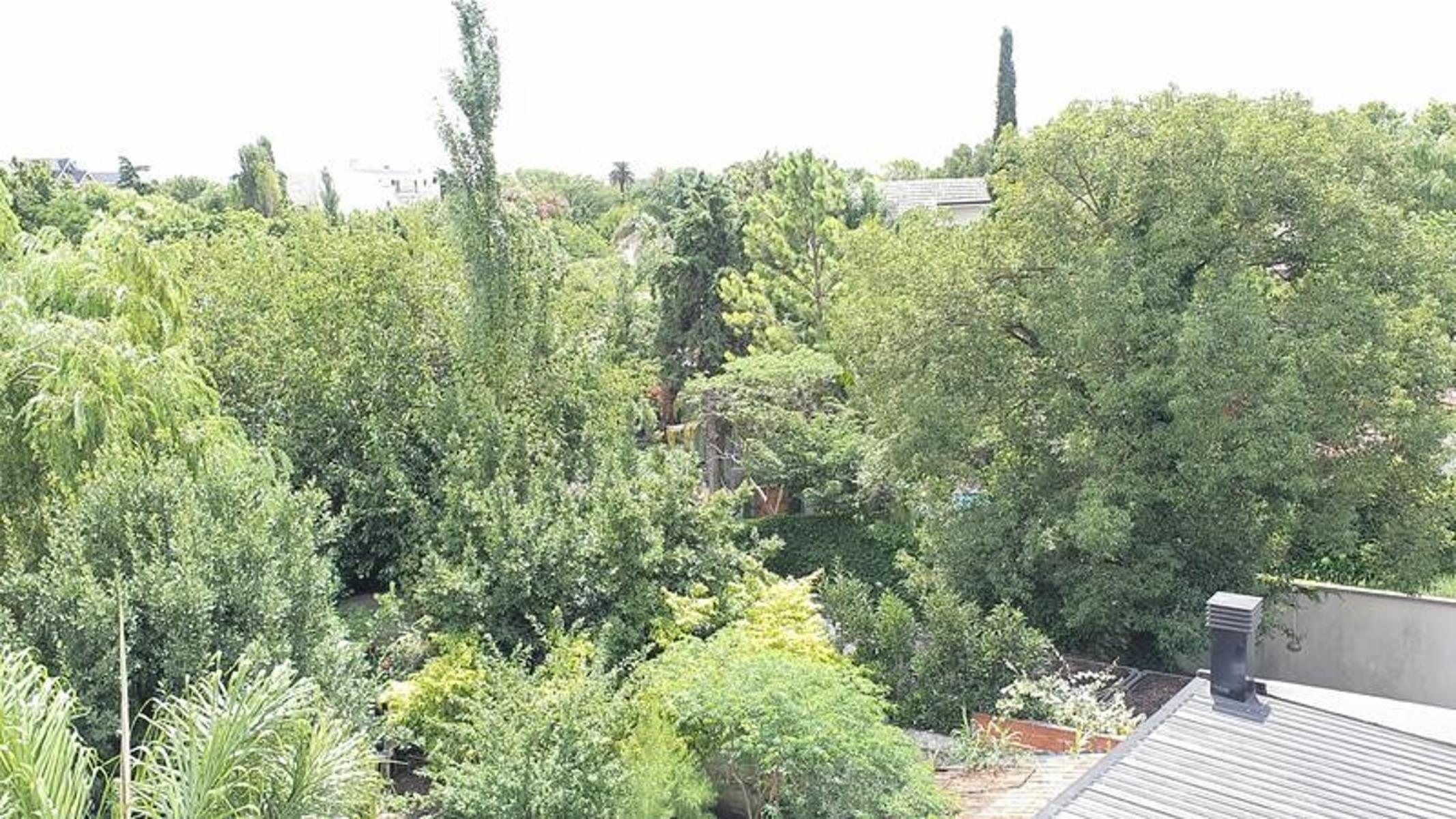 Drumond 1041 · Almirante Brown — foto 26
