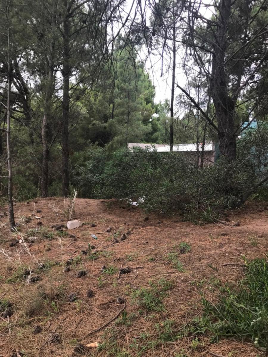 Los zorzales · Monte Hermoso — foto 5