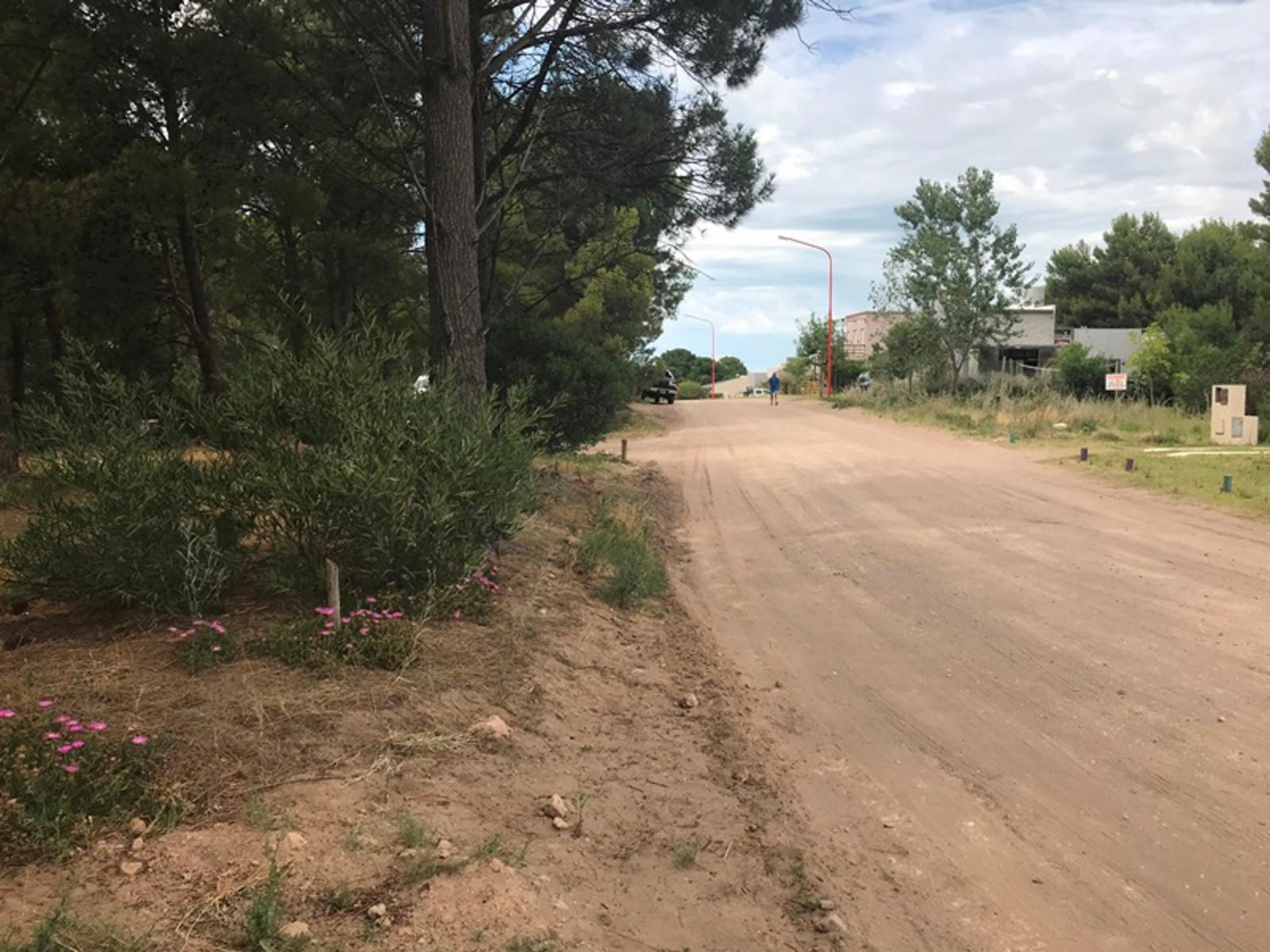Los zorzales · Monte Hermoso — foto 9