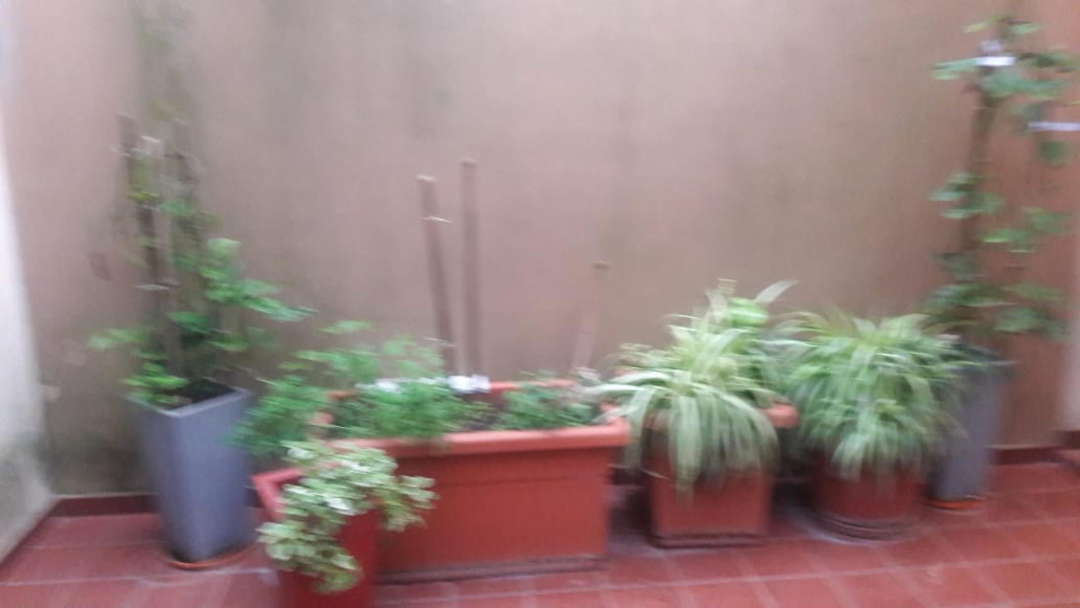 Potrerillo 530 · Almirante Brown — foto 19