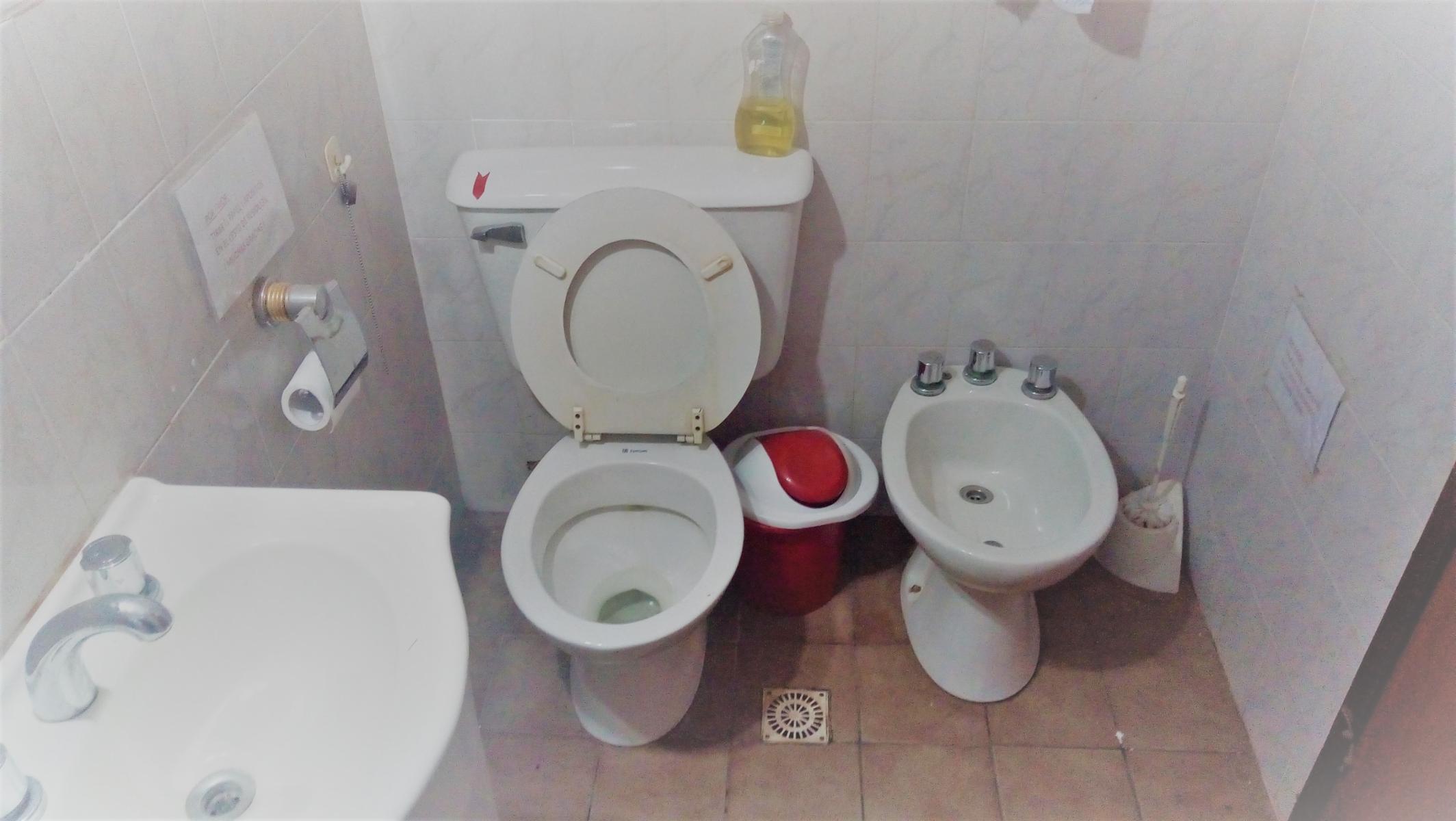 san isidro 300 · Junín — foto 23