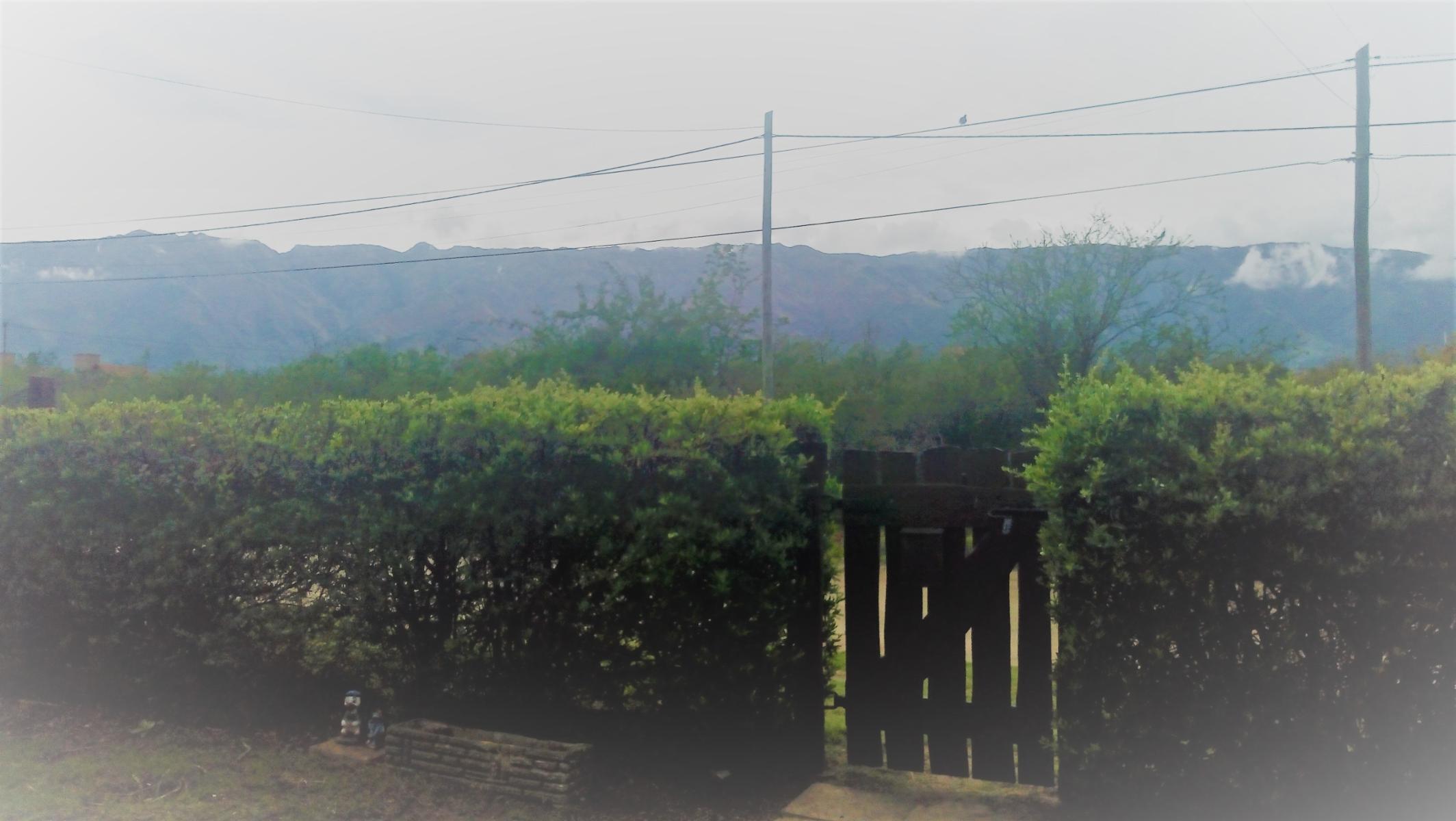 san isidro 300 · Junín — foto 49