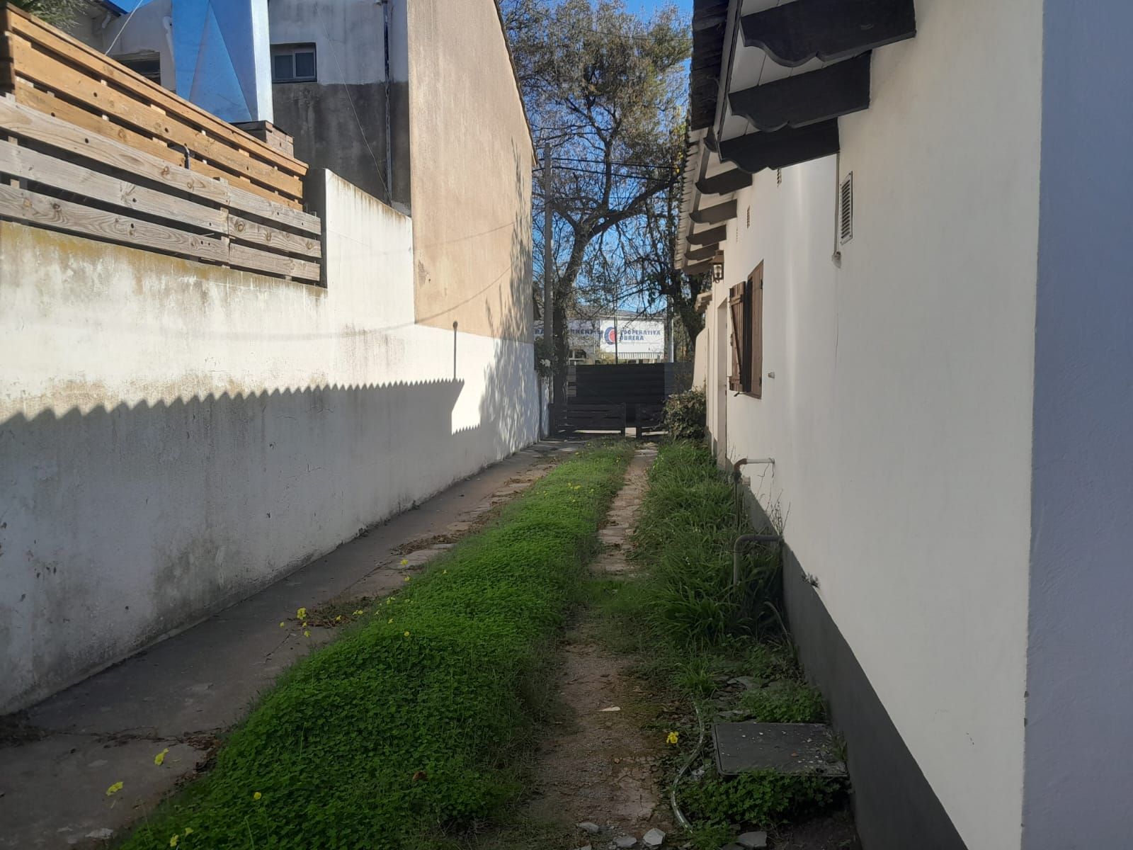 Sipe Sipe 843 · Monte Hermoso — foto 16