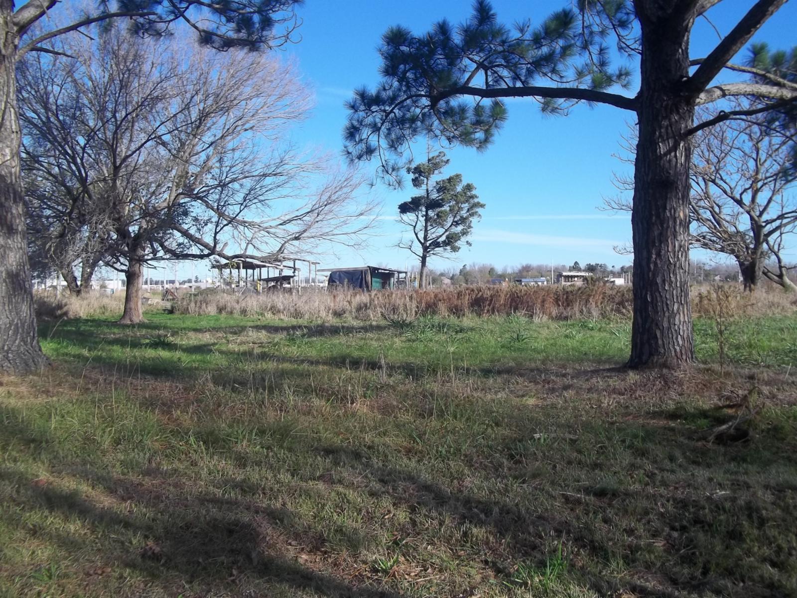 Los Cedros 001 · San Lorenzo — foto 3