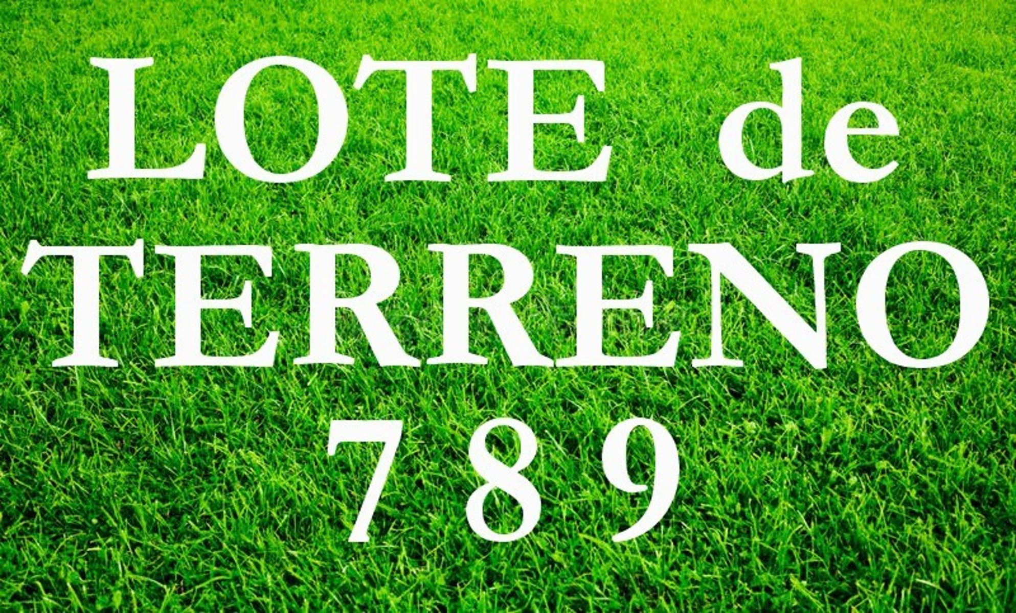 Tomas de Rocamora 2200 · Merlo — foto 9