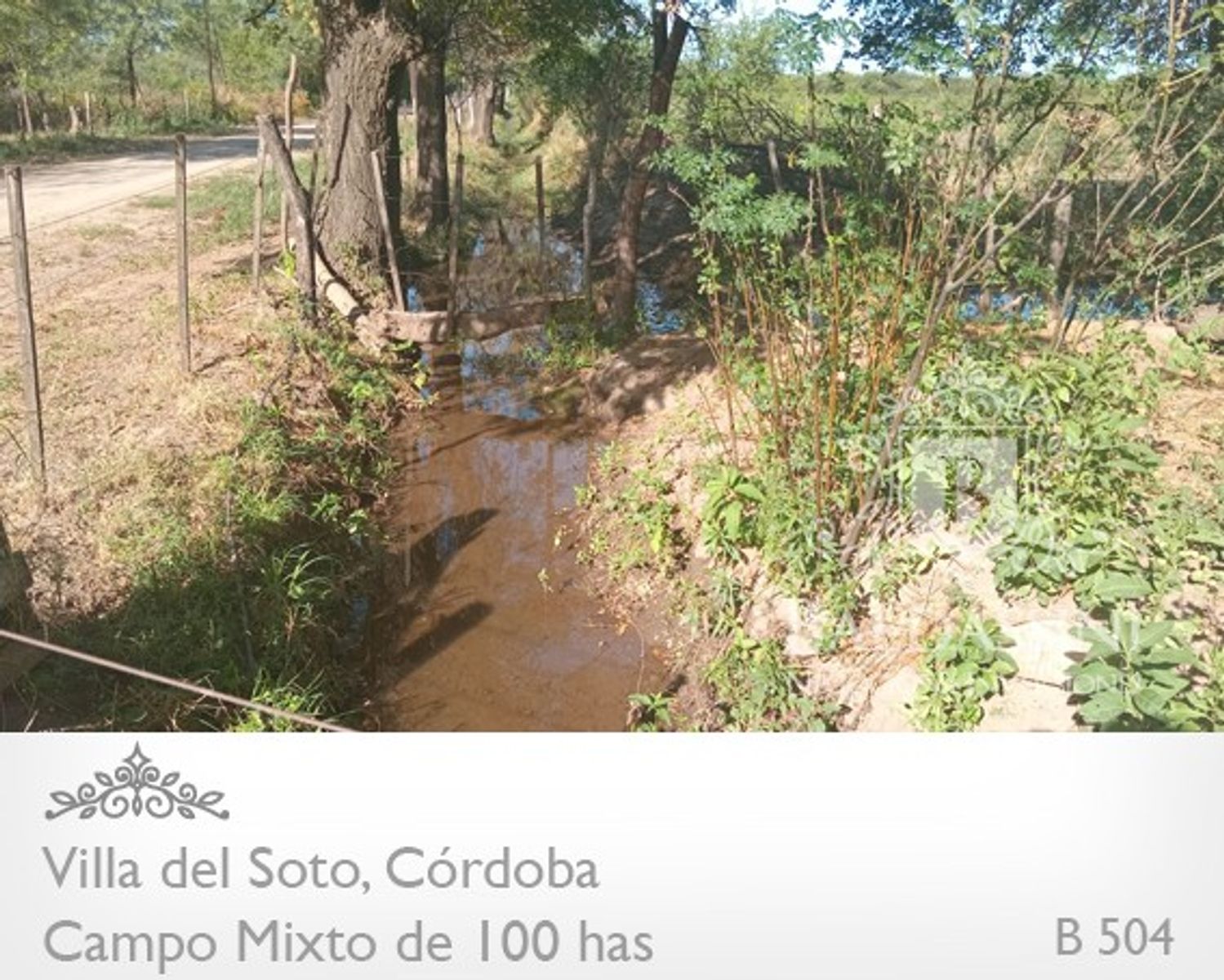 Campo de 100 has Mixto - Villa del Soto - Córdoba