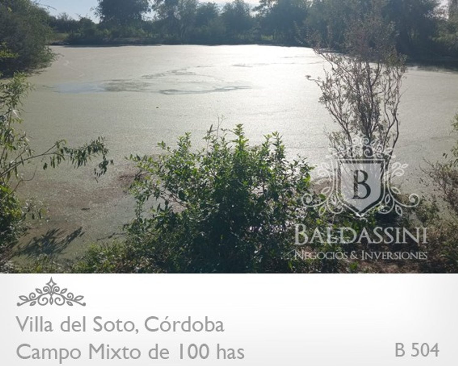 Ruta 38 · Cruz del Eje — foto 3