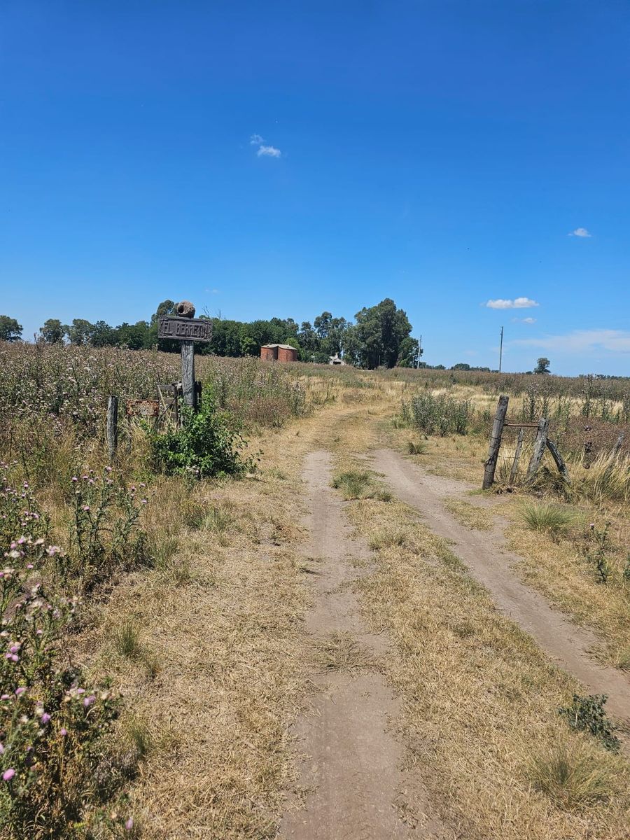 enrique Fynn · General Las Heras — foto 3