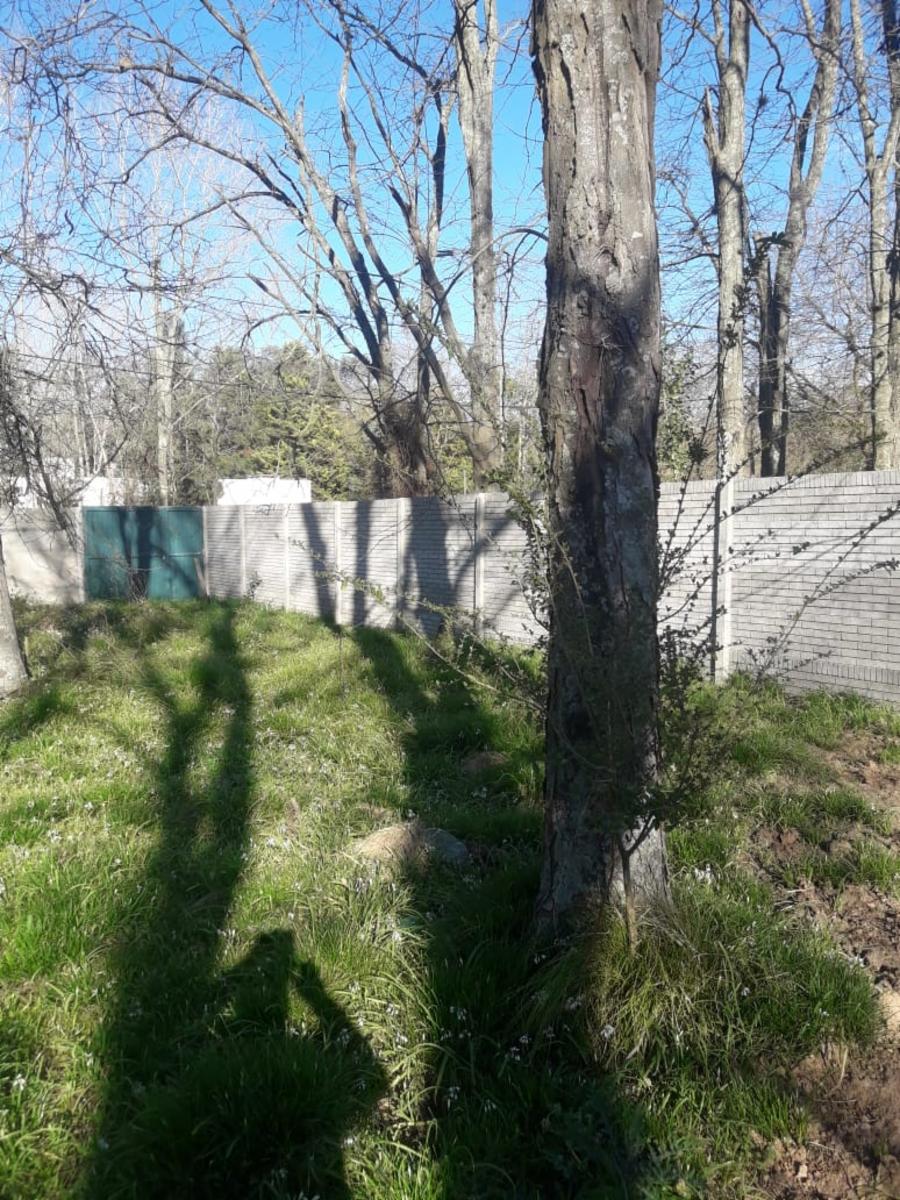 HERNANDEZ 400 · Cañuelas — foto 7