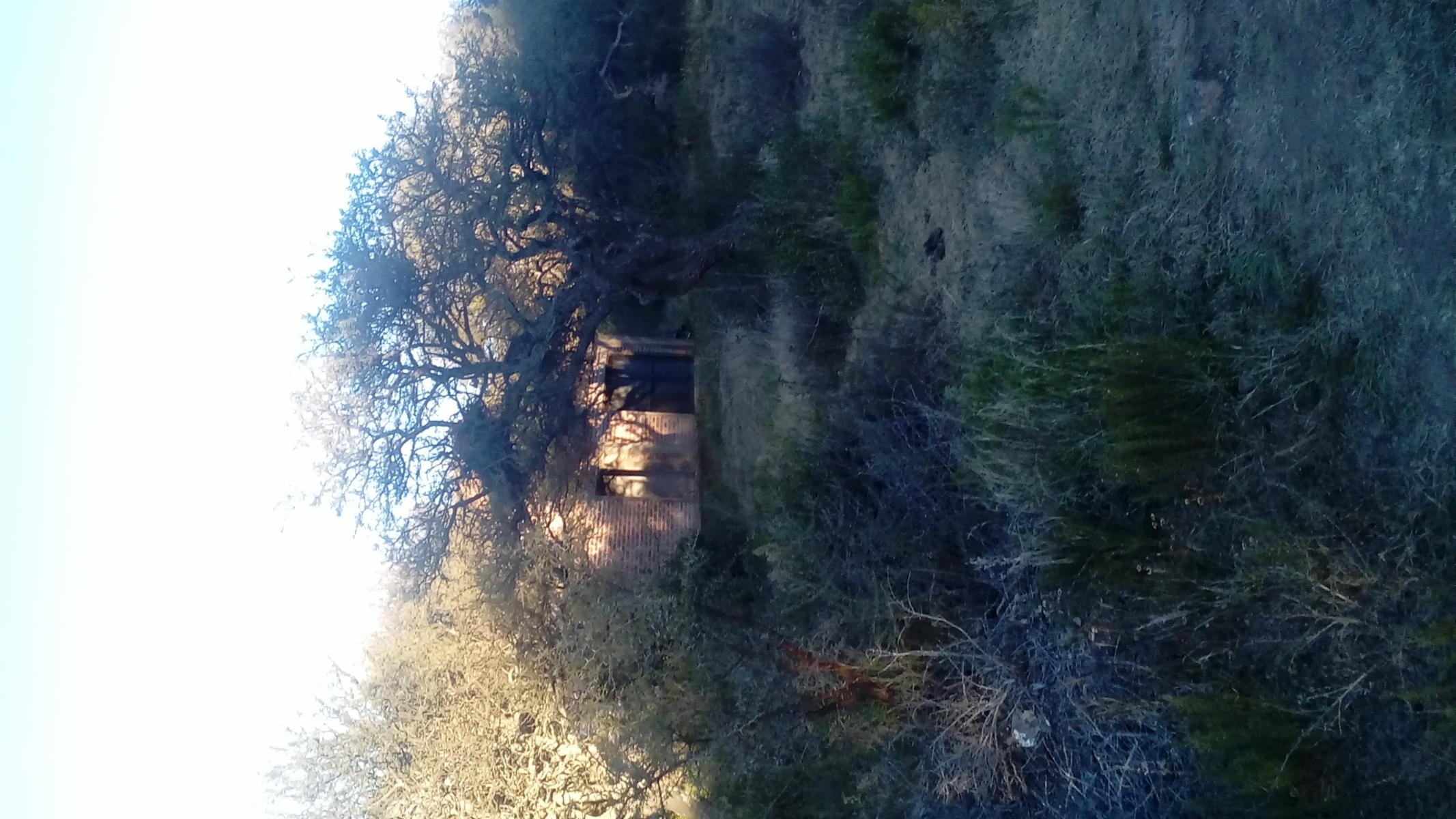 av Los Pajaros 400 · Chacabuco — foto 7