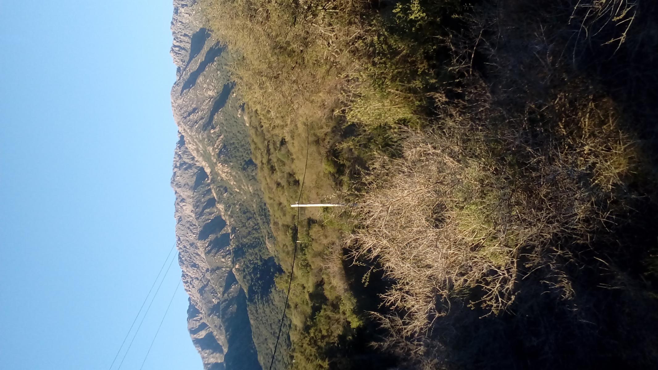 av Los Pajaros 400 · Chacabuco — foto 8