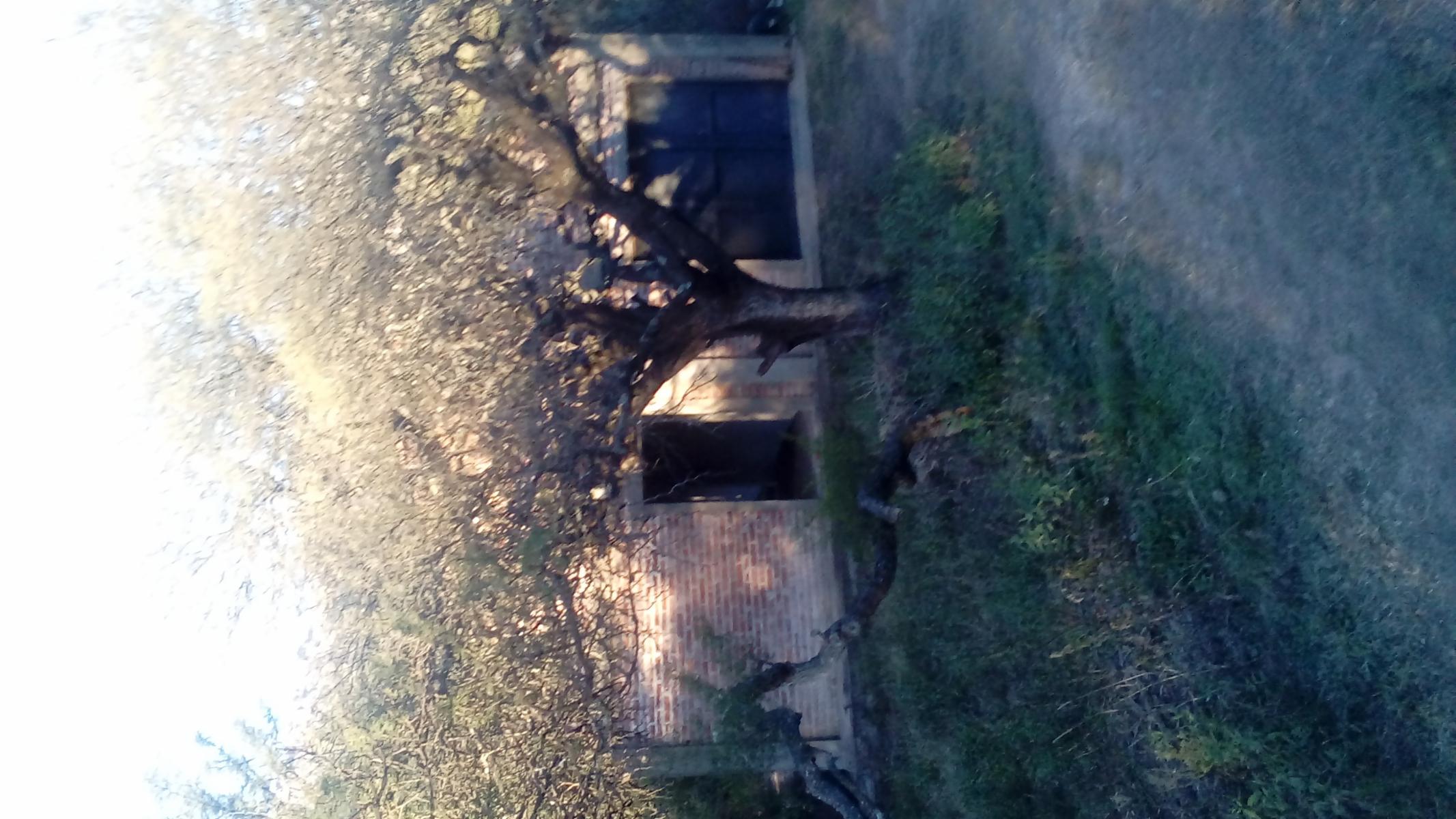 av Los Pajaros 400 · Chacabuco — foto 9