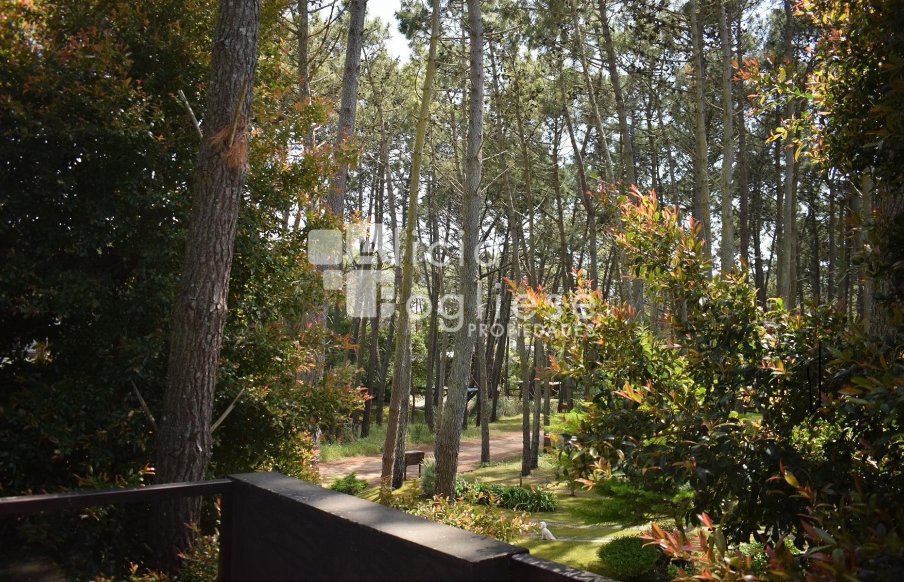 Pedro Luro entre Alfonsina Storni y Albatros · Villa Gesell — foto 32