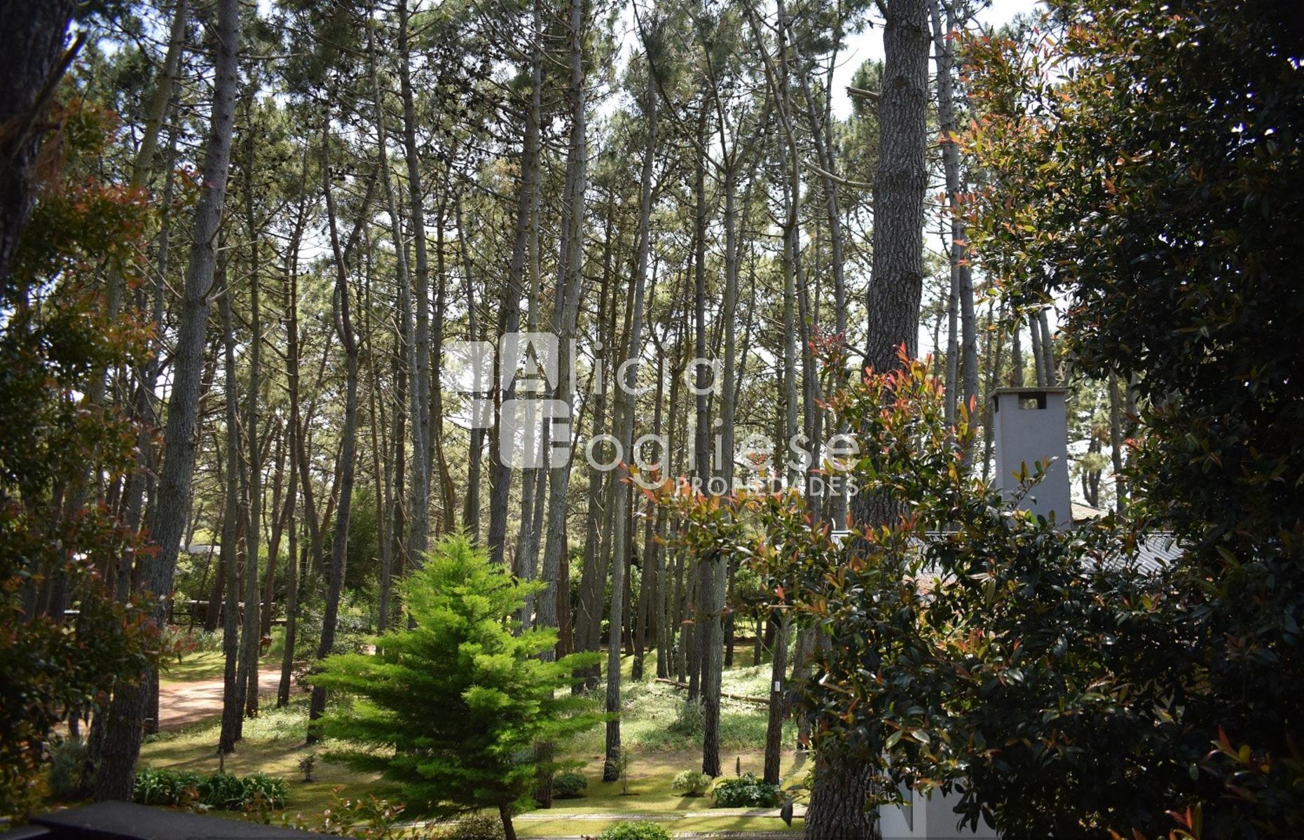 Pedro Luro entre Alfonsina Storni y Albatros · Villa Gesell — foto 33