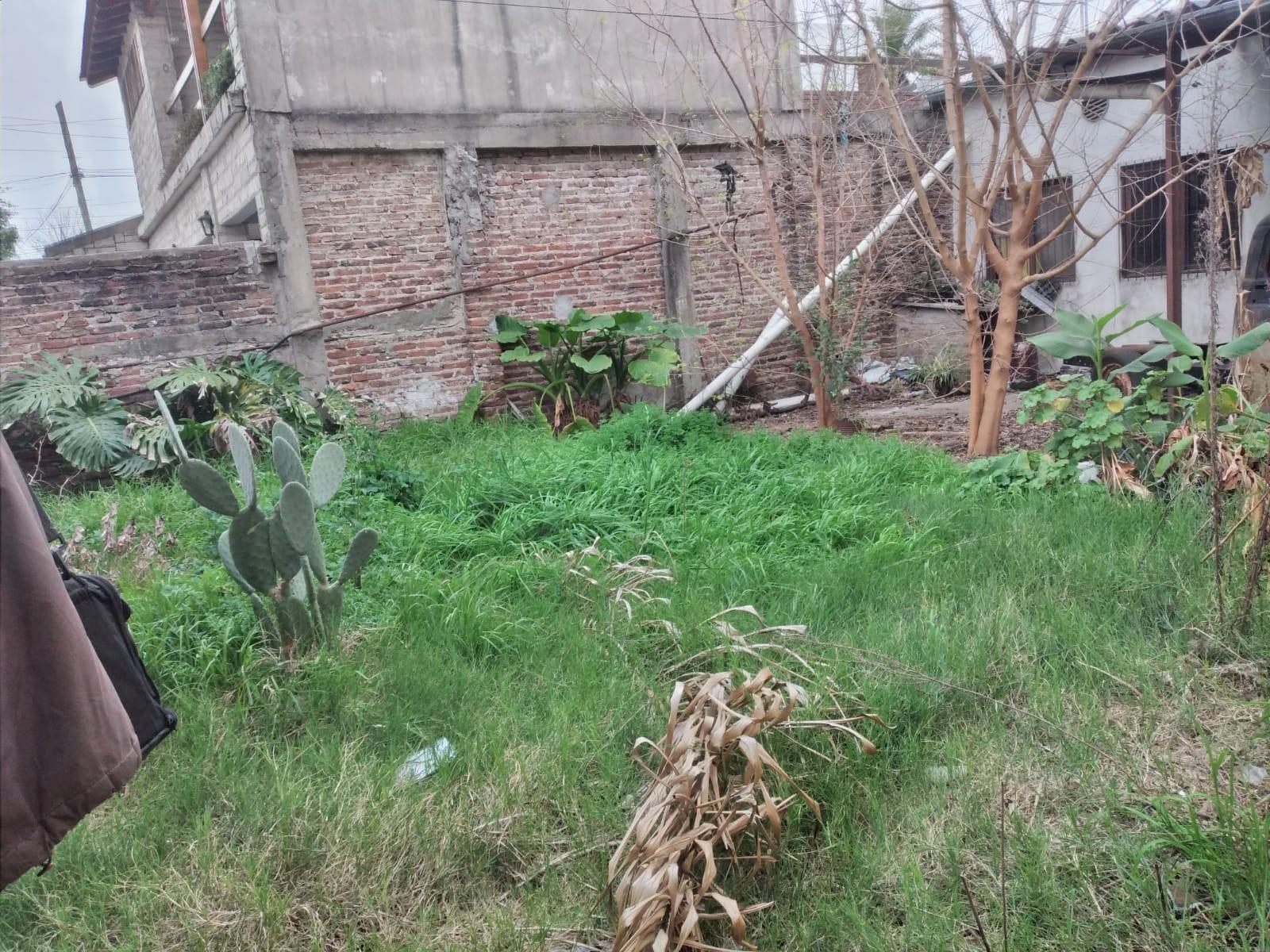 Carabobo al 800 · Ituzaingó — foto 5