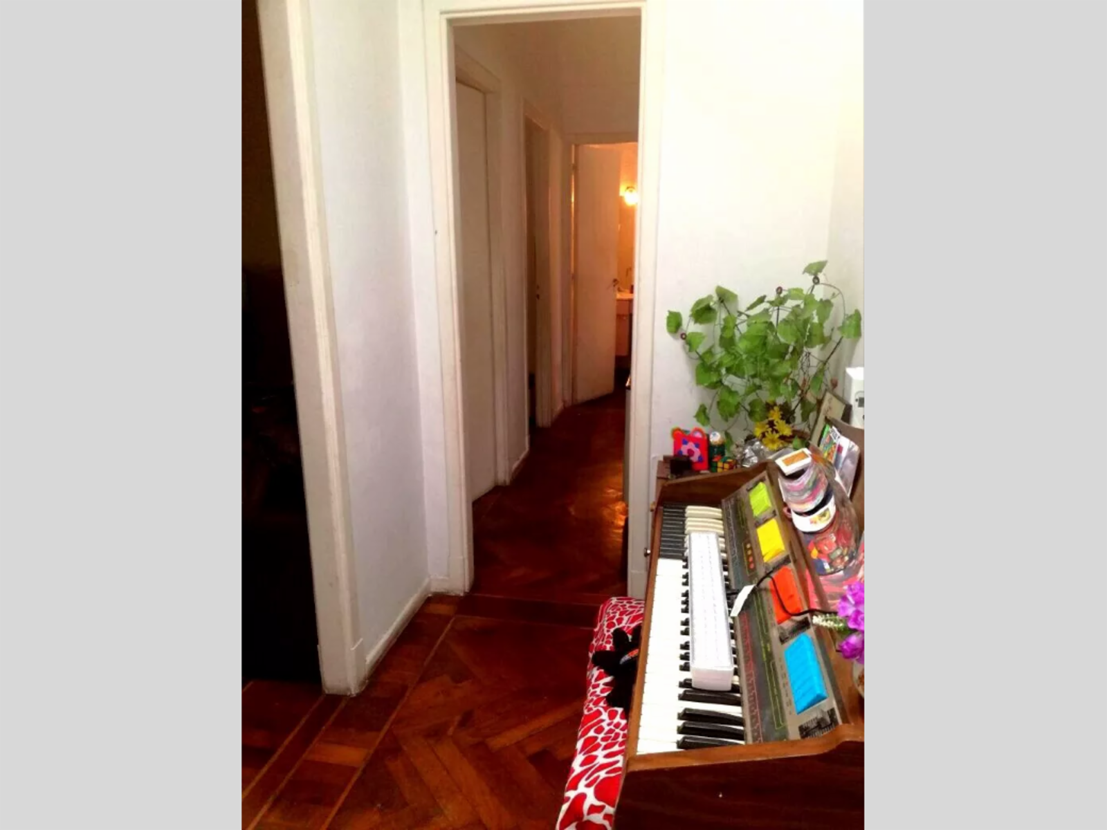 Pichincha 1000 · Balvanera — foto 4
