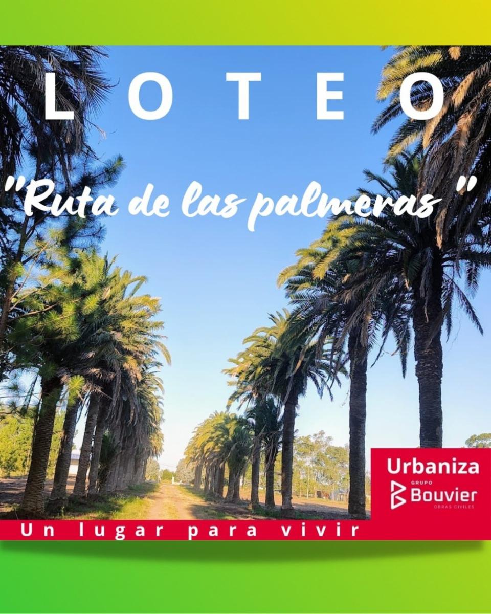 Ruta 130 · Colón — foto 7