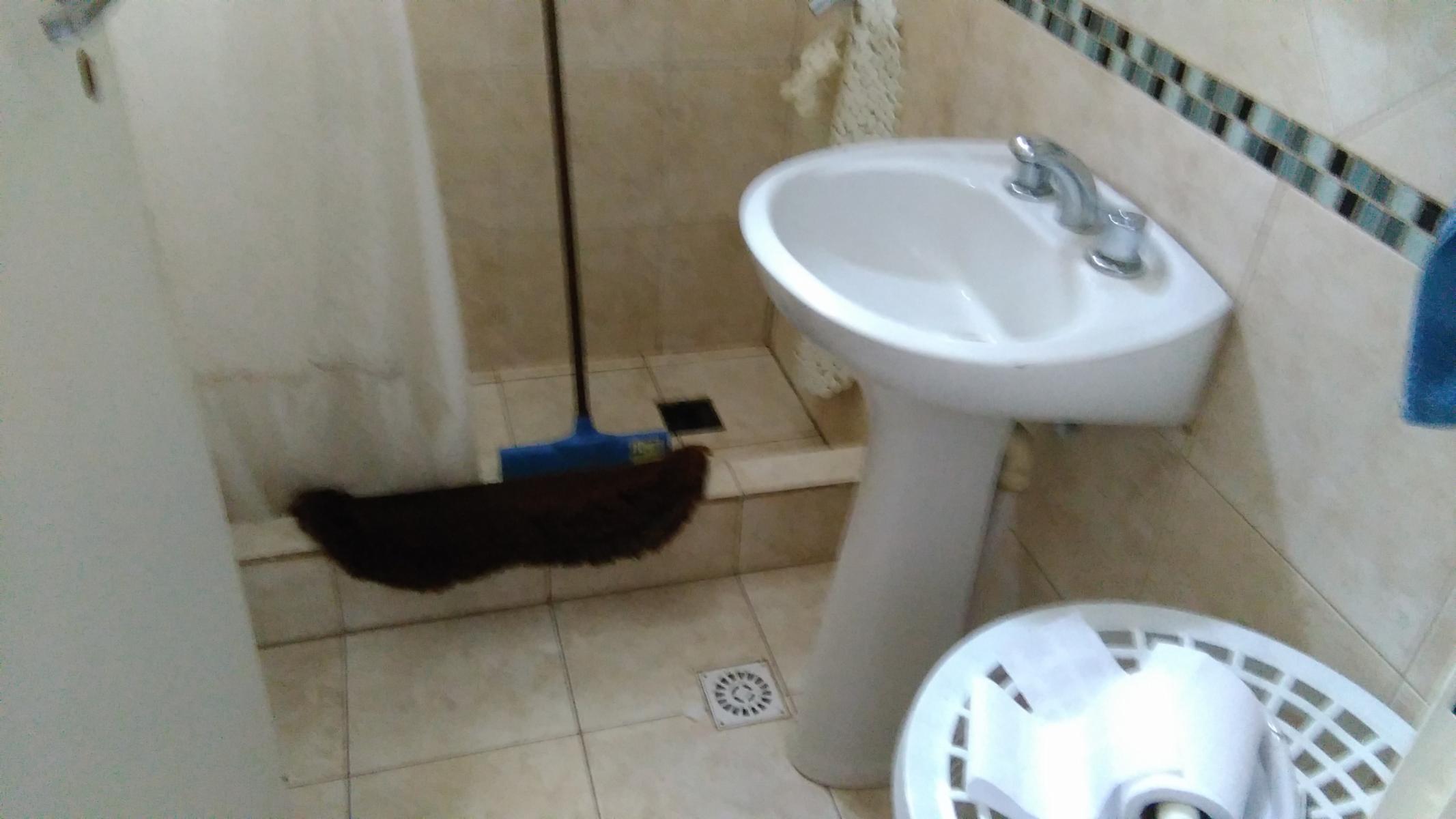 antonio alice · Bahia Blanca — foto 5