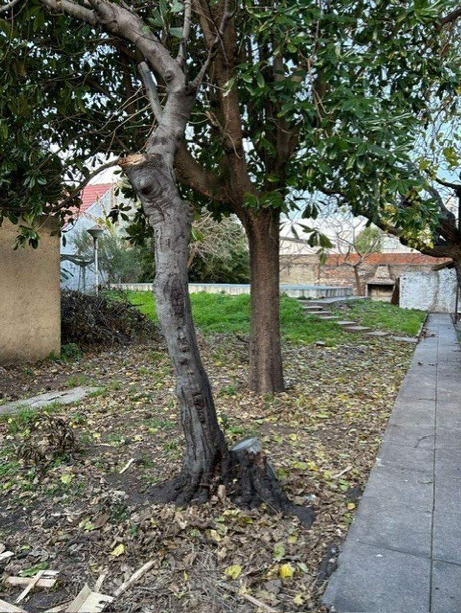MIRO 1264 · La Matanza — foto 16