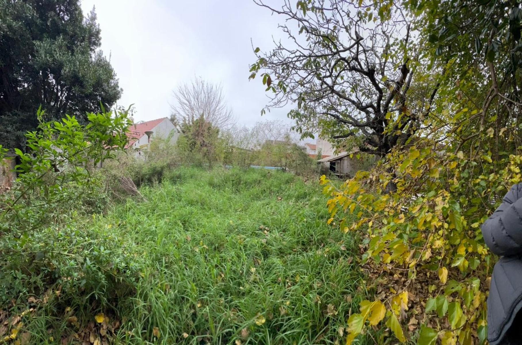 MIRO 1264 · La Matanza — foto 4