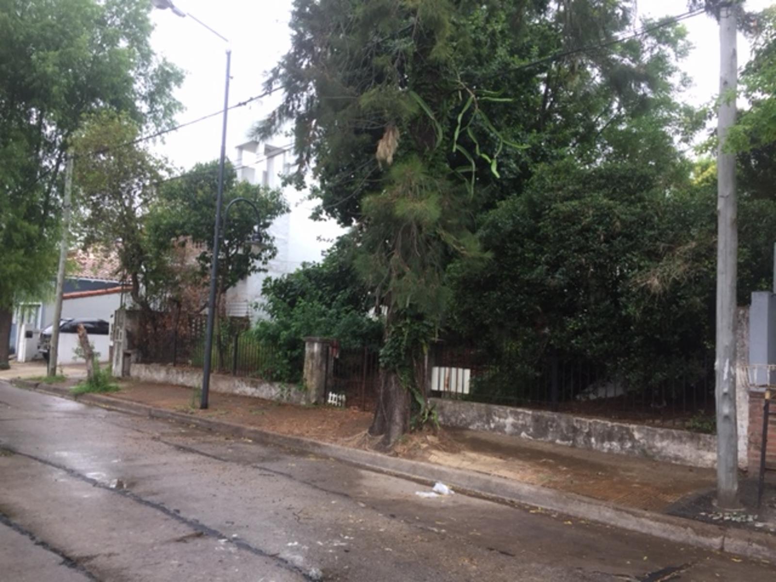 Maestro Alvarez 1900 · San Fernando — foto 4