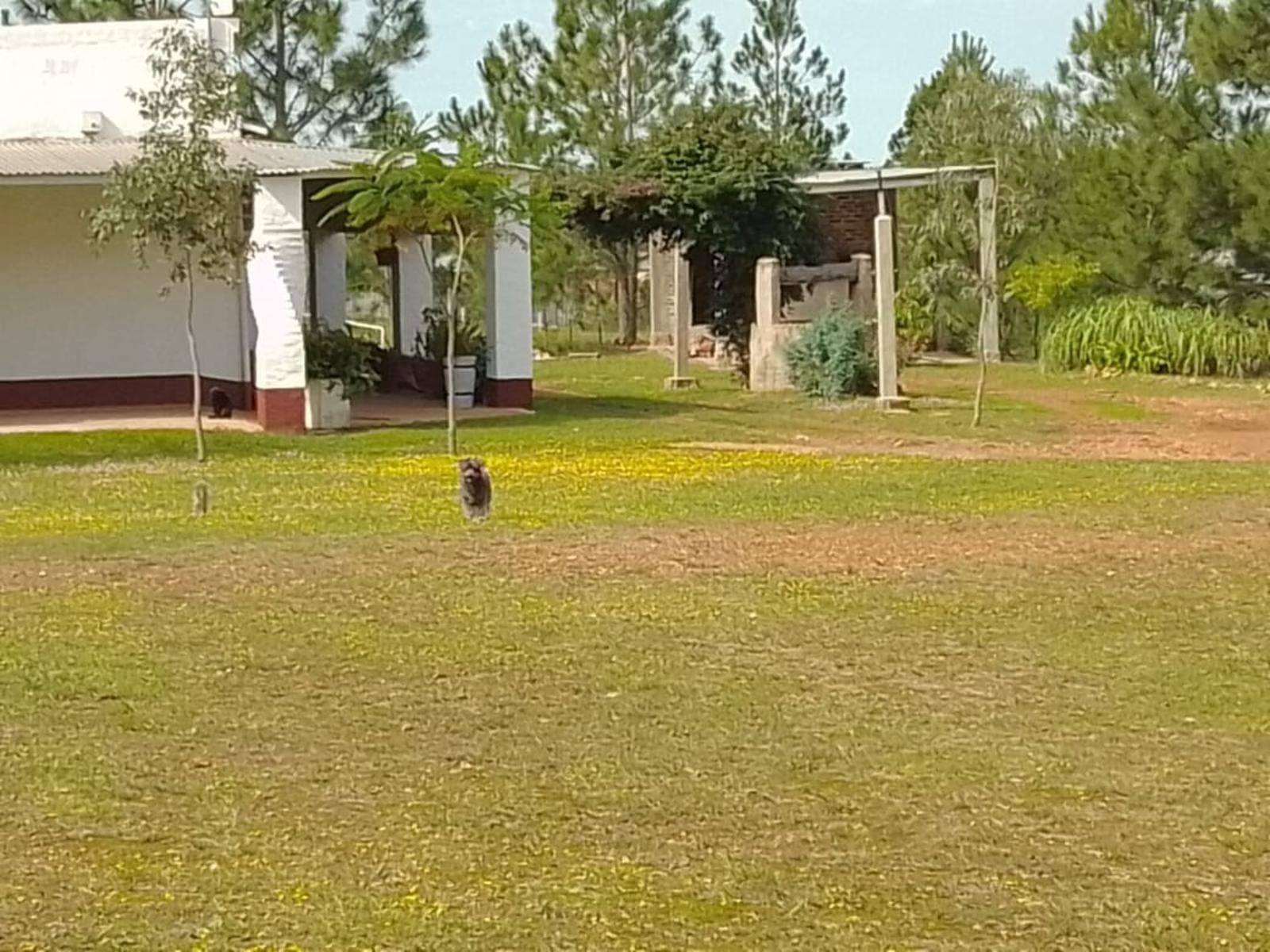 RUTA 94 · Santo Tomé — foto 11