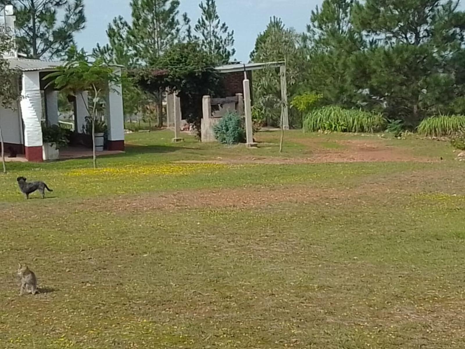 RUTA 94 · Santo Tomé — foto 6