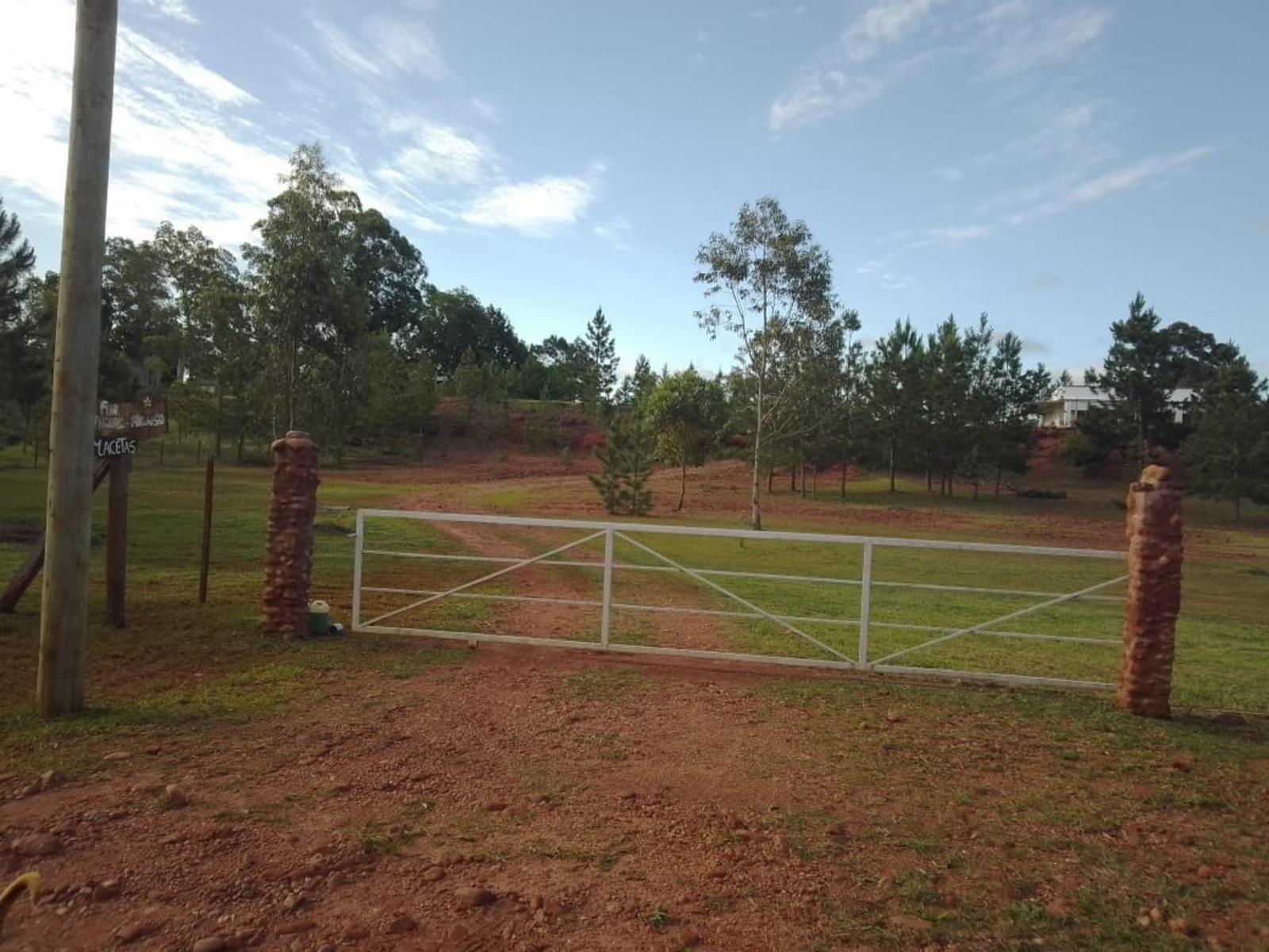 RUTA 94 · Santo Tomé — foto 7