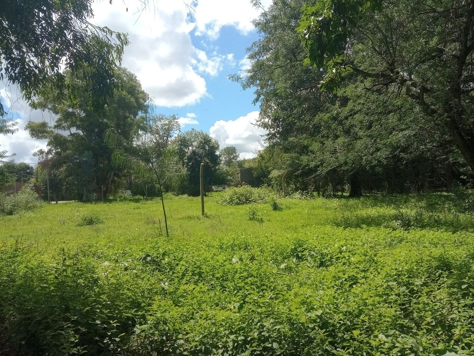 Loteo con financiación sobre Calle Arrozarena