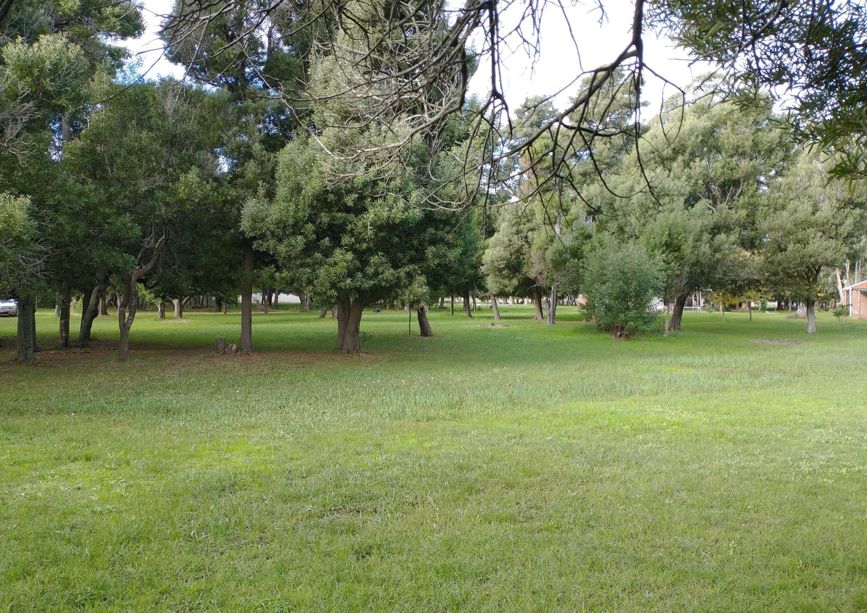 Calle Rural sin nombre · Punta Indio — foto 16