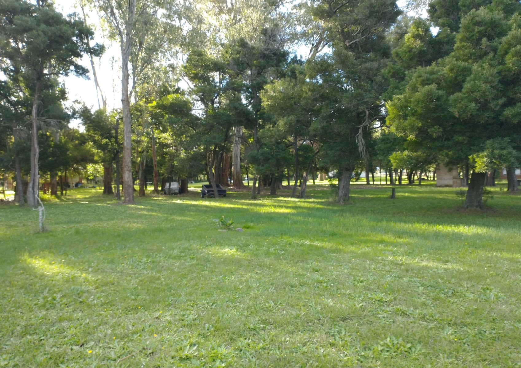 Calle Rural sin nombre · Punta Indio — foto 18
