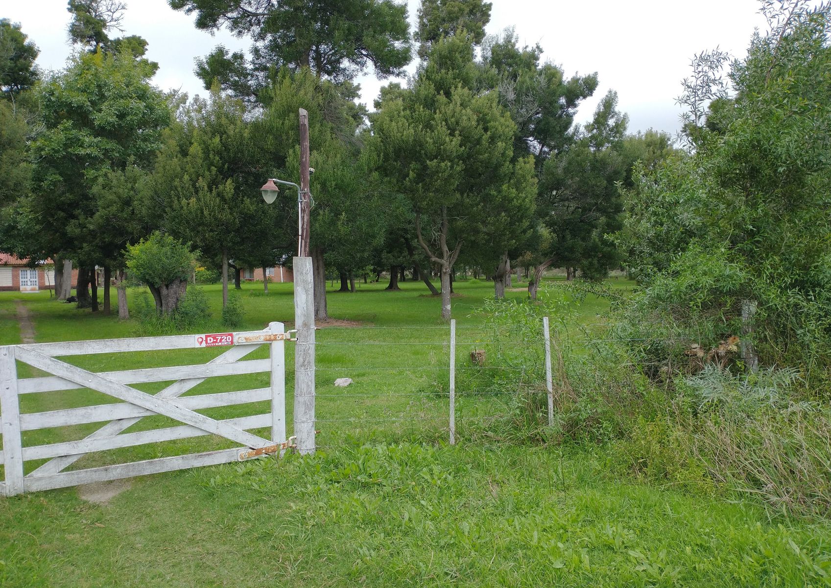 Calle Rural sin nombre · Punta Indio — foto 10