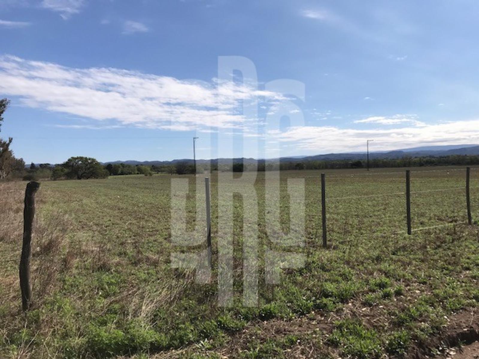 Los Talas, Anisacate. · Santa María — foto 4