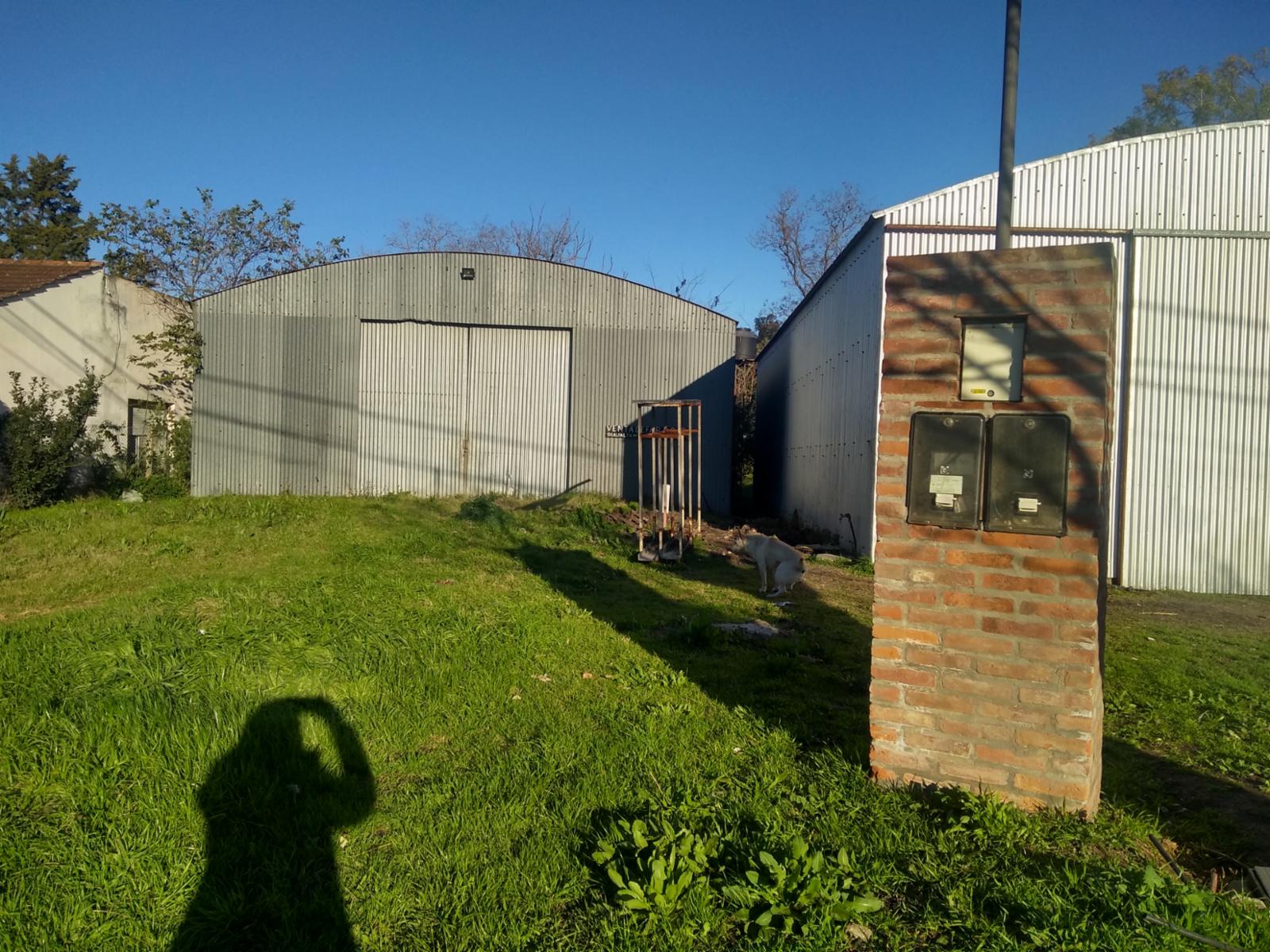 Nemesio Litardo · Exaltacion De La Cruz — foto 3