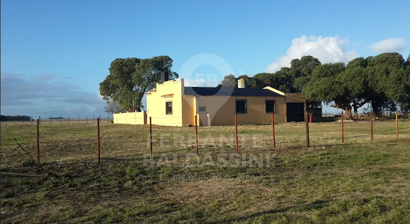 CAMPO AGRÍCOLA DE 17 HAS. EN MECHONGÉ - A 1 HORA DE MAR DEL PLATA / CASA RECICLADA / BUENA TIERRA / EXCELENTES ALAMBRADOS - CERCA DE MIRAMAR