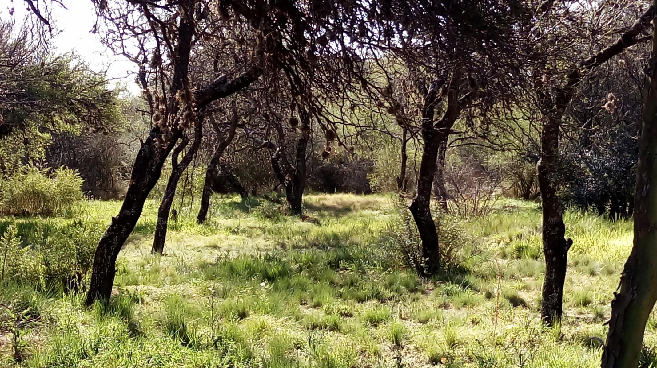 Ruta 5 / 5minutos de Merlo · Junín — foto 3