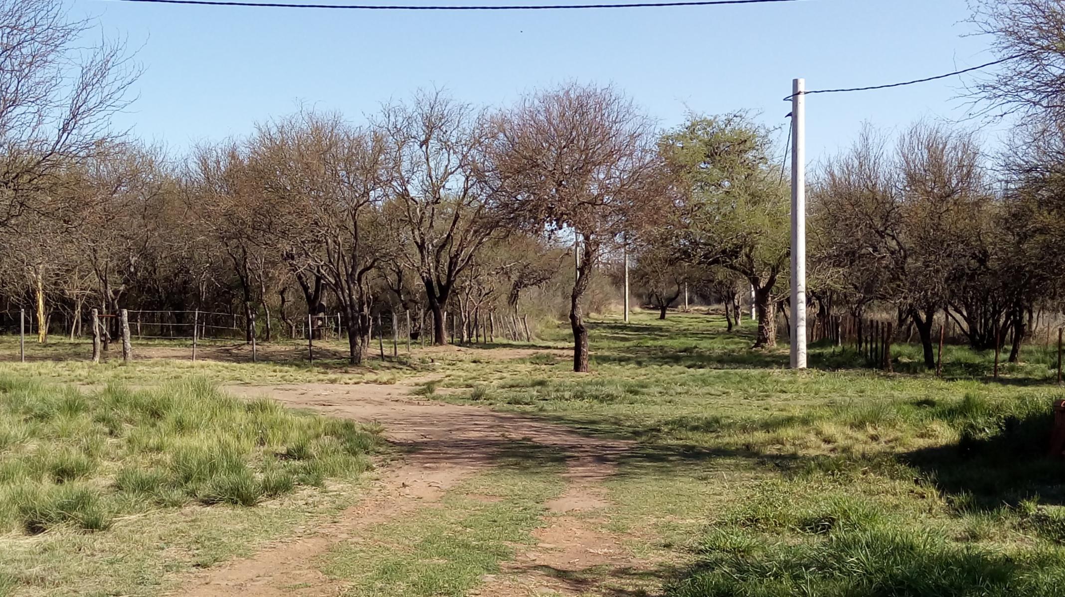 Ruta 5 / 5minutos de Merlo · Junín — foto 4