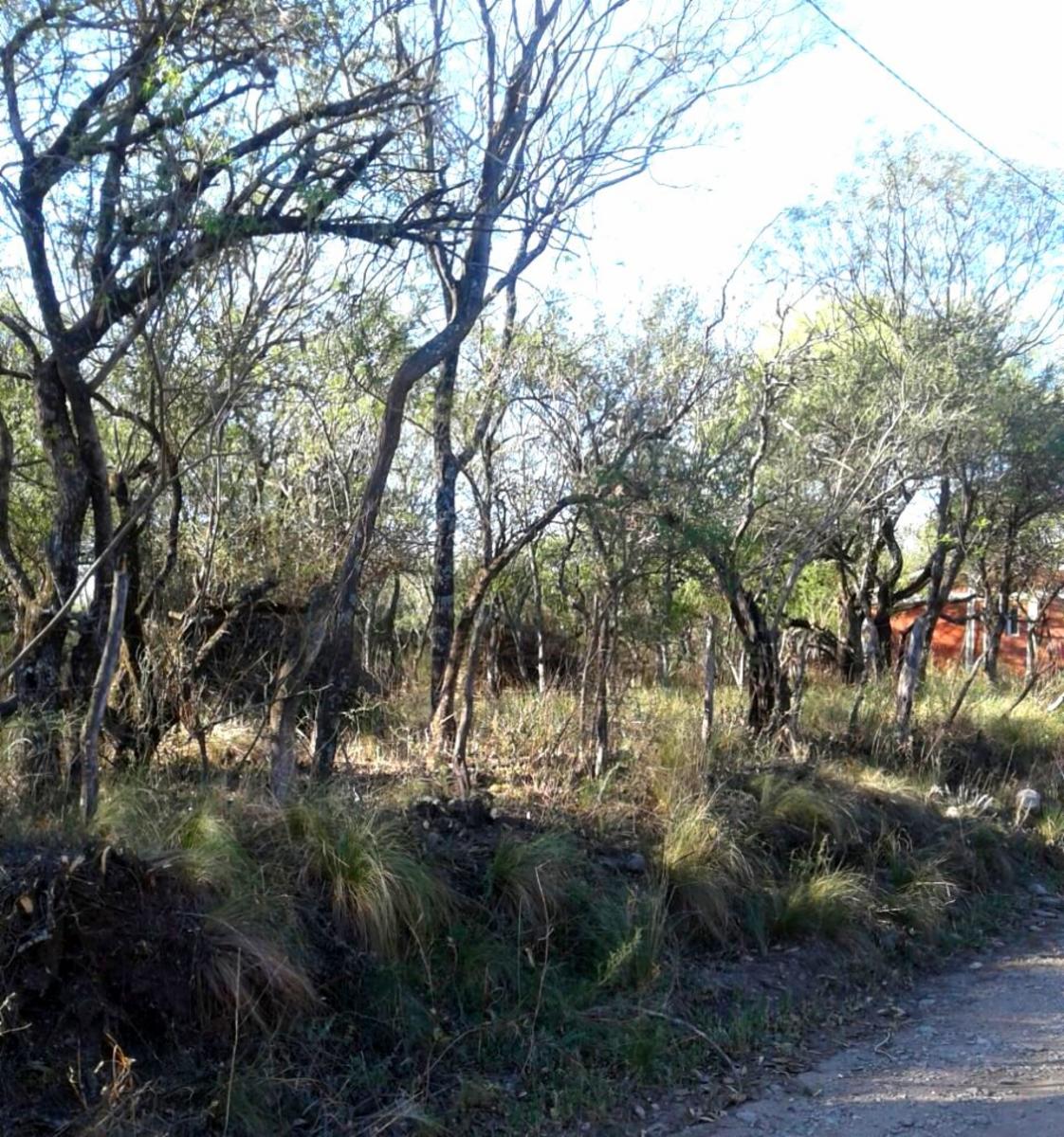 Ruta 5 / 5minutos de Merlo · Junín — foto 7