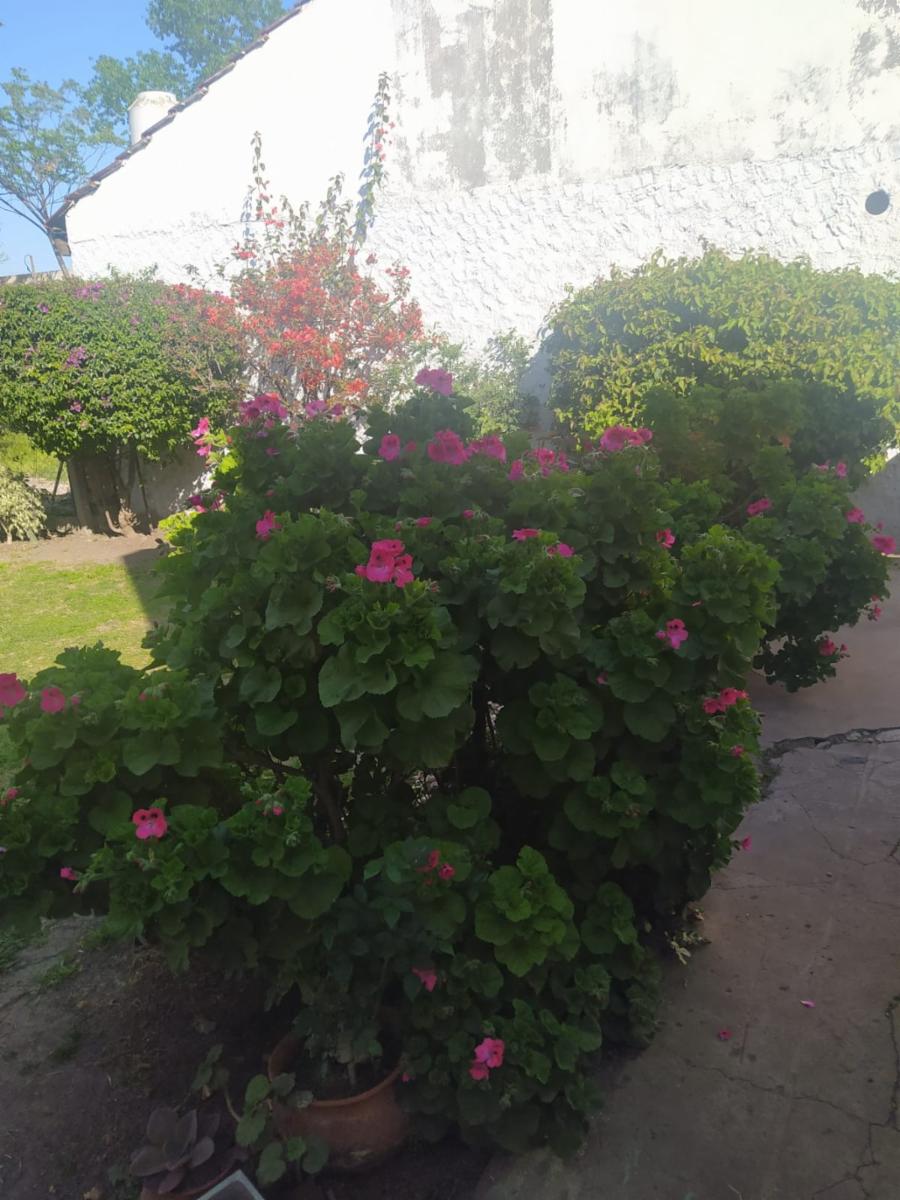 Tacuarí 267 · Merlo — foto 12